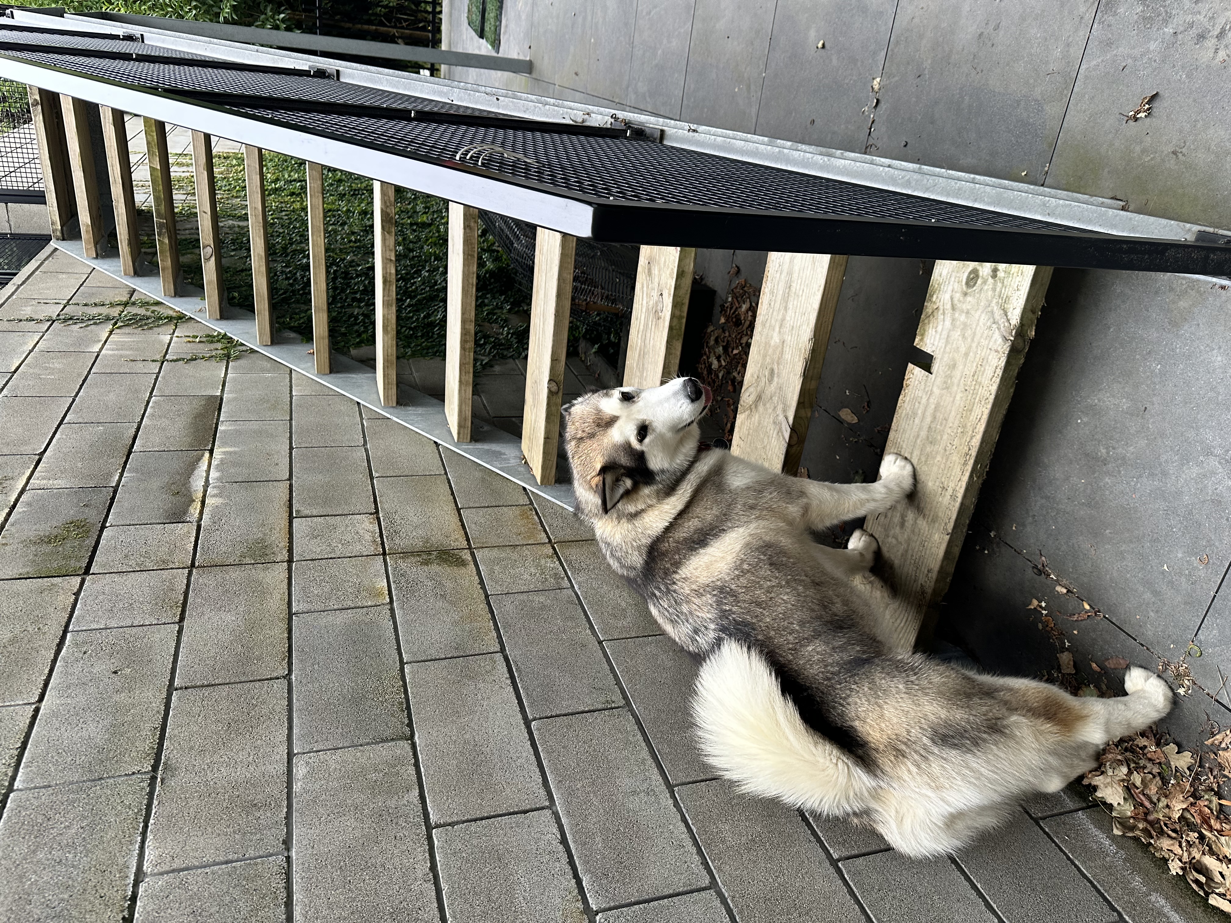 image-14