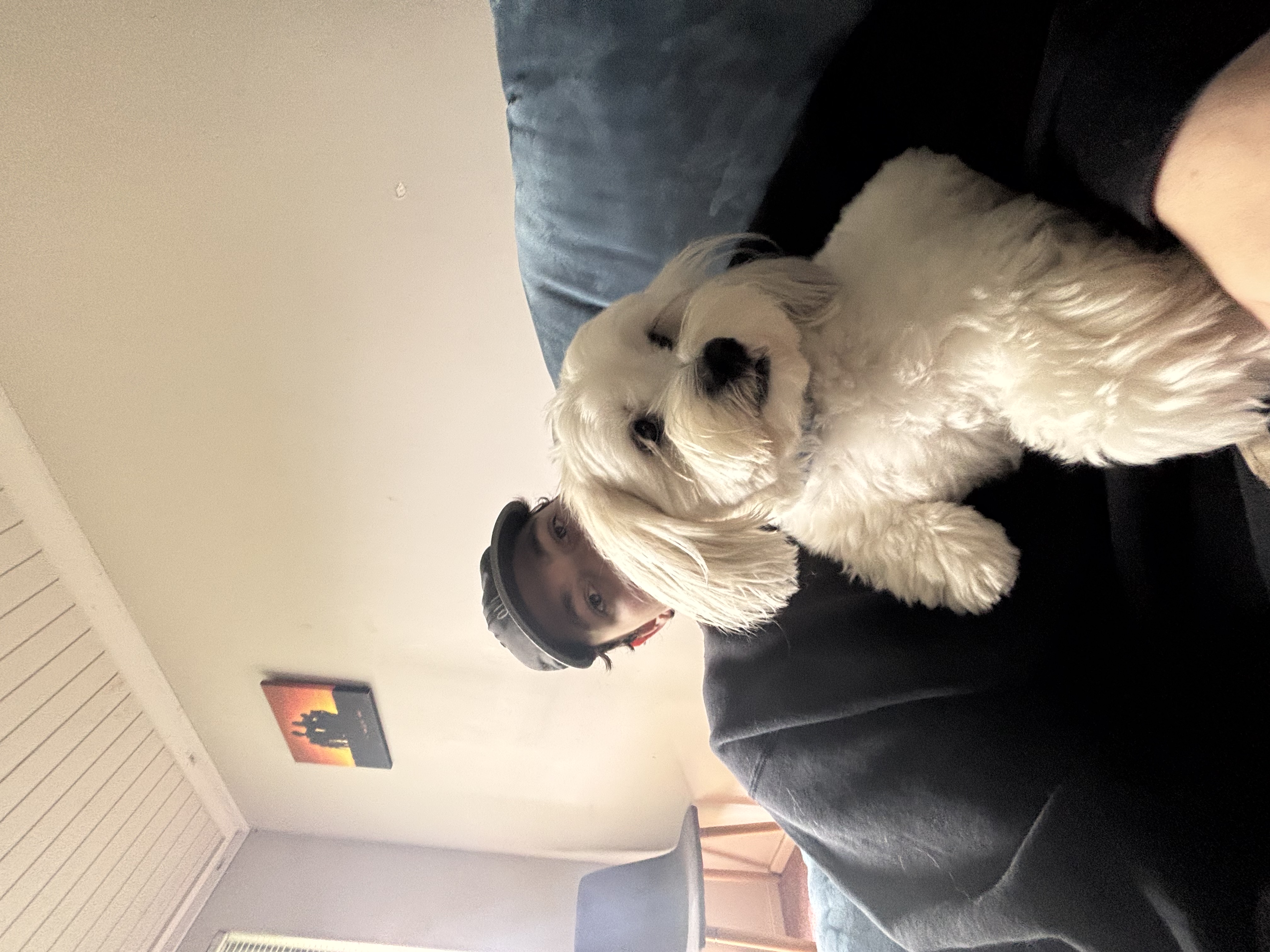image-4