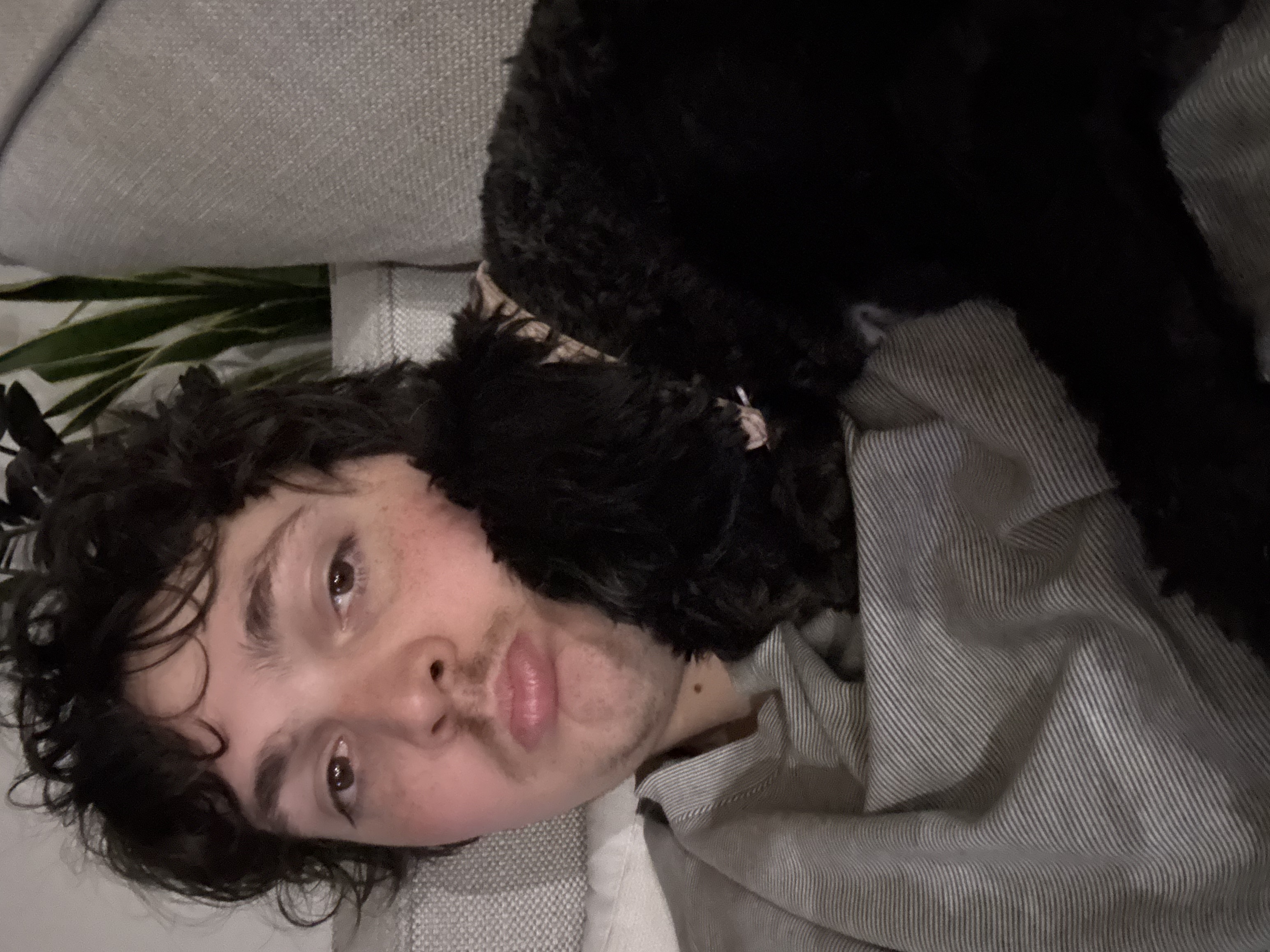 image-8