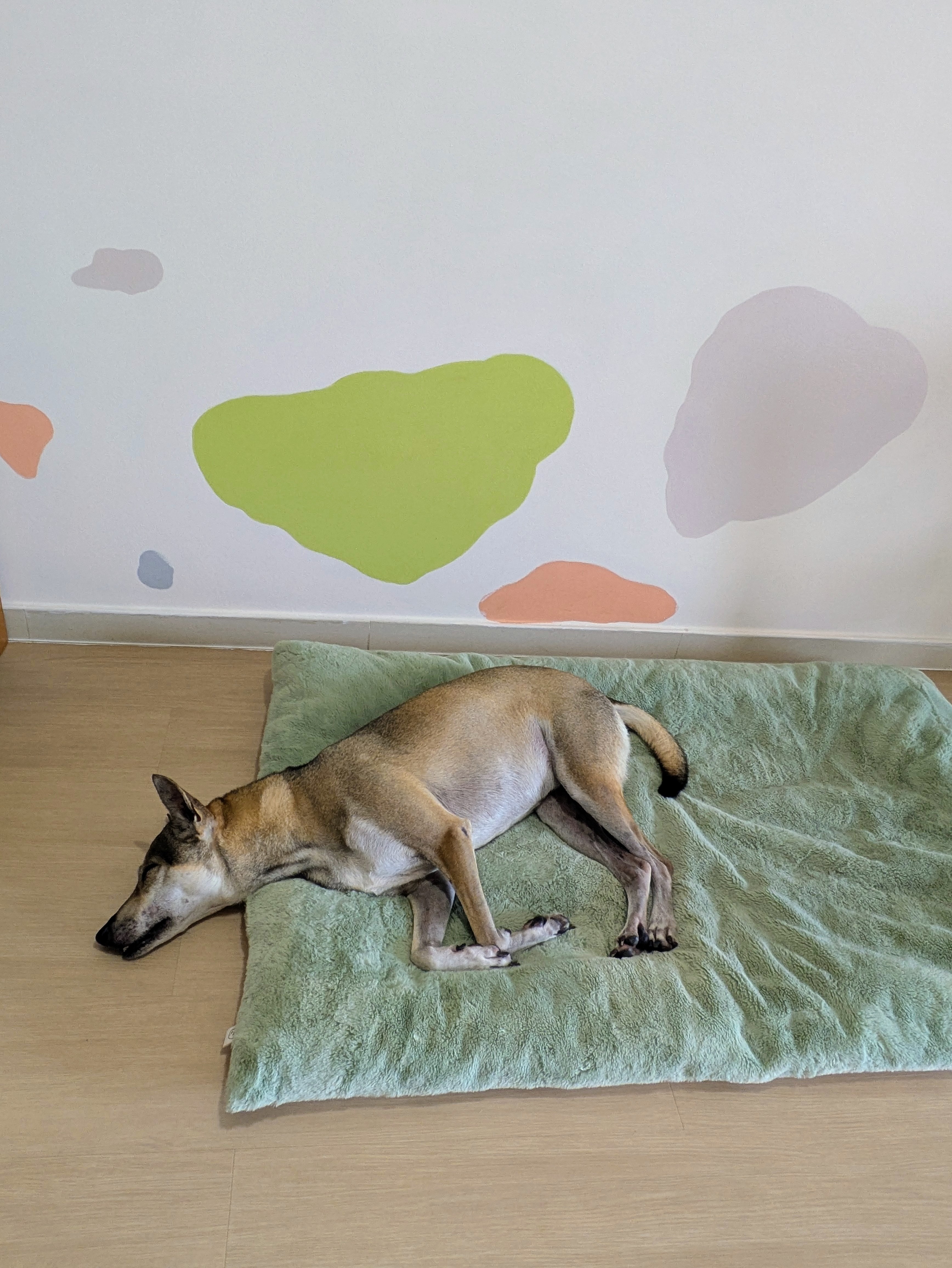 image-14
