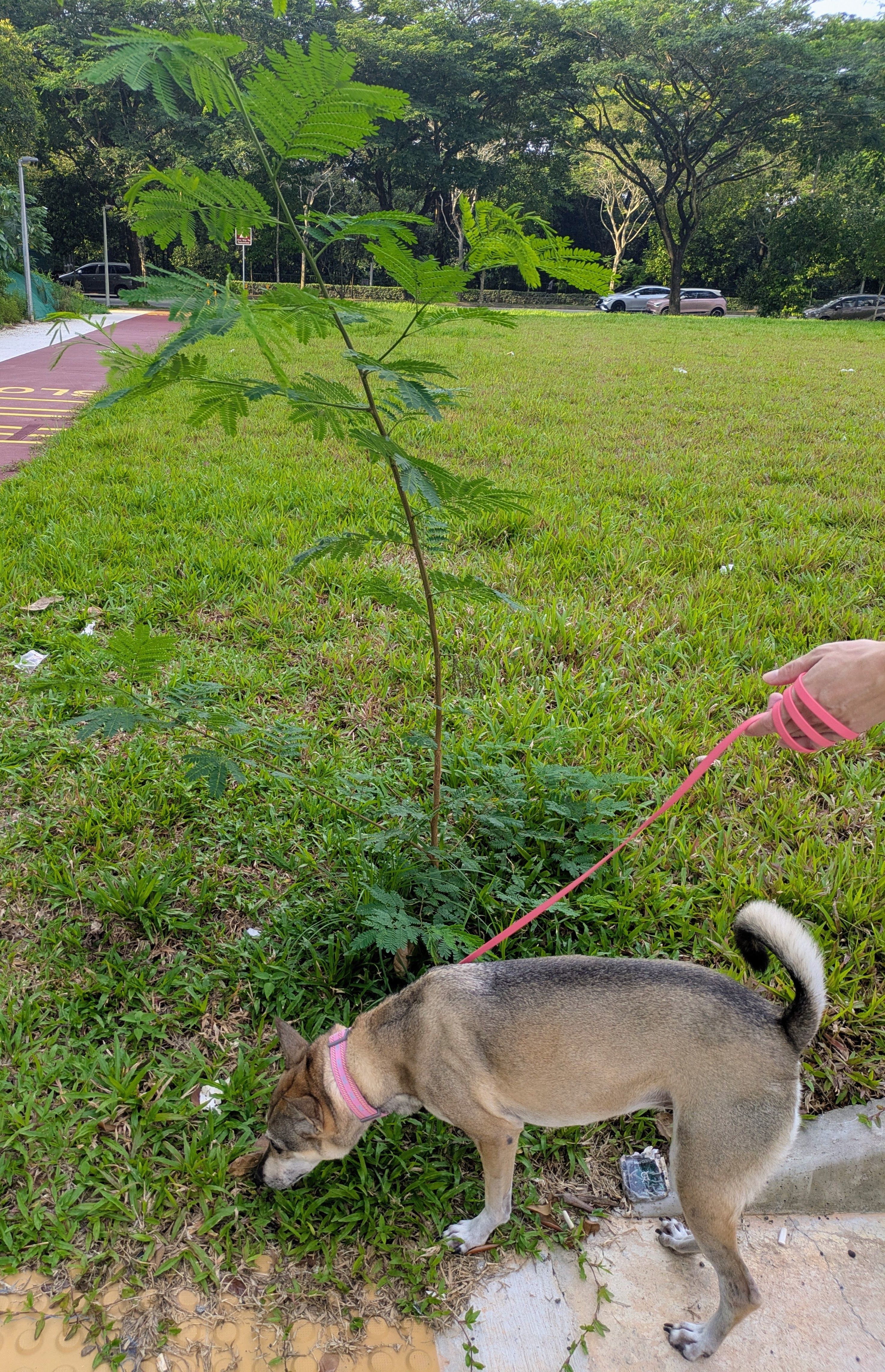 image-16