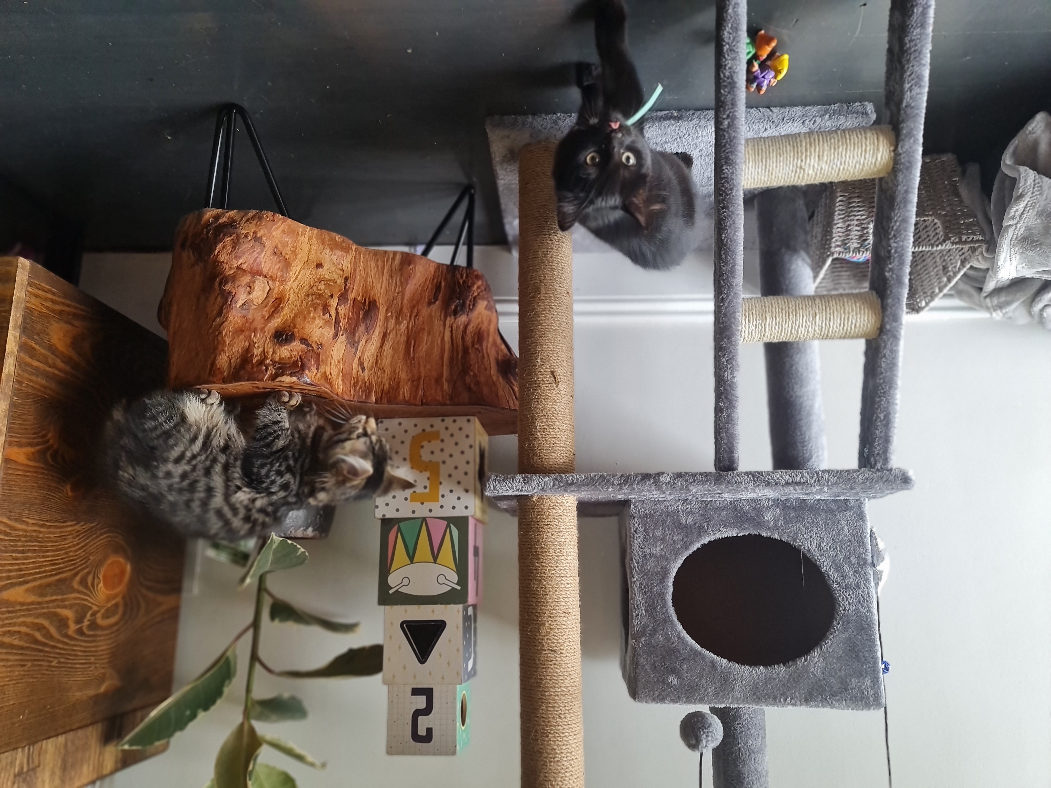 image-5