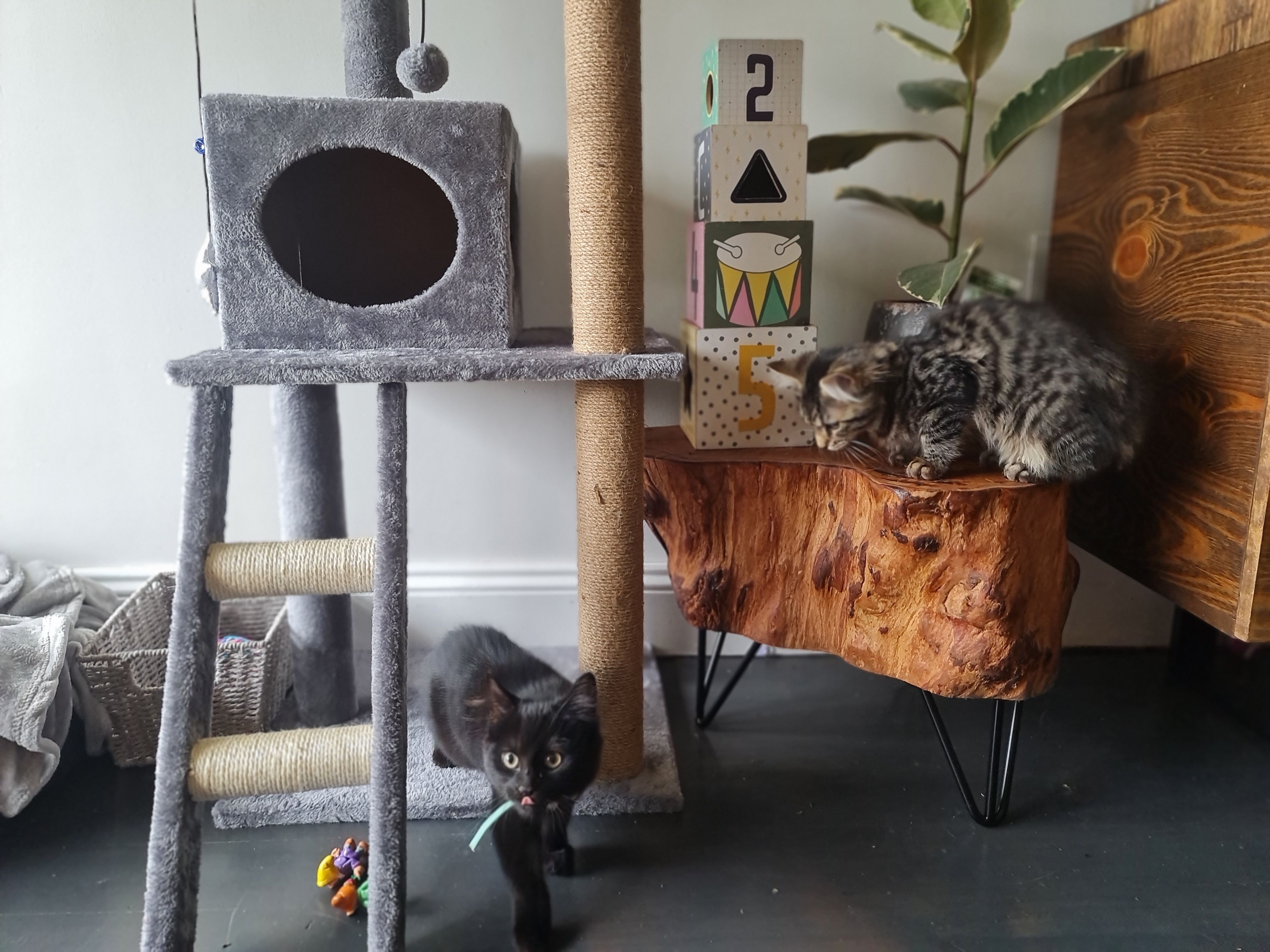 image-5