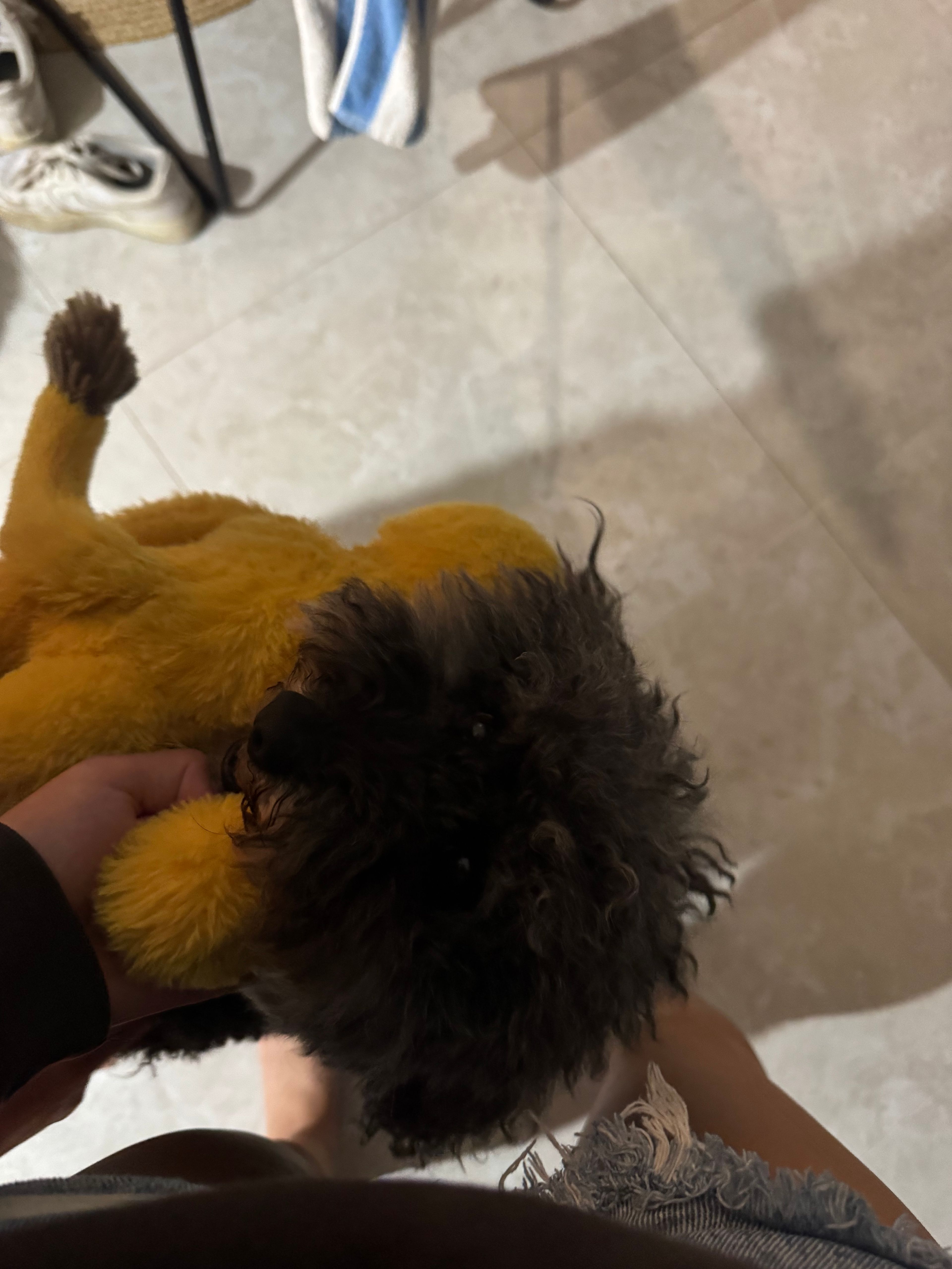 image-12