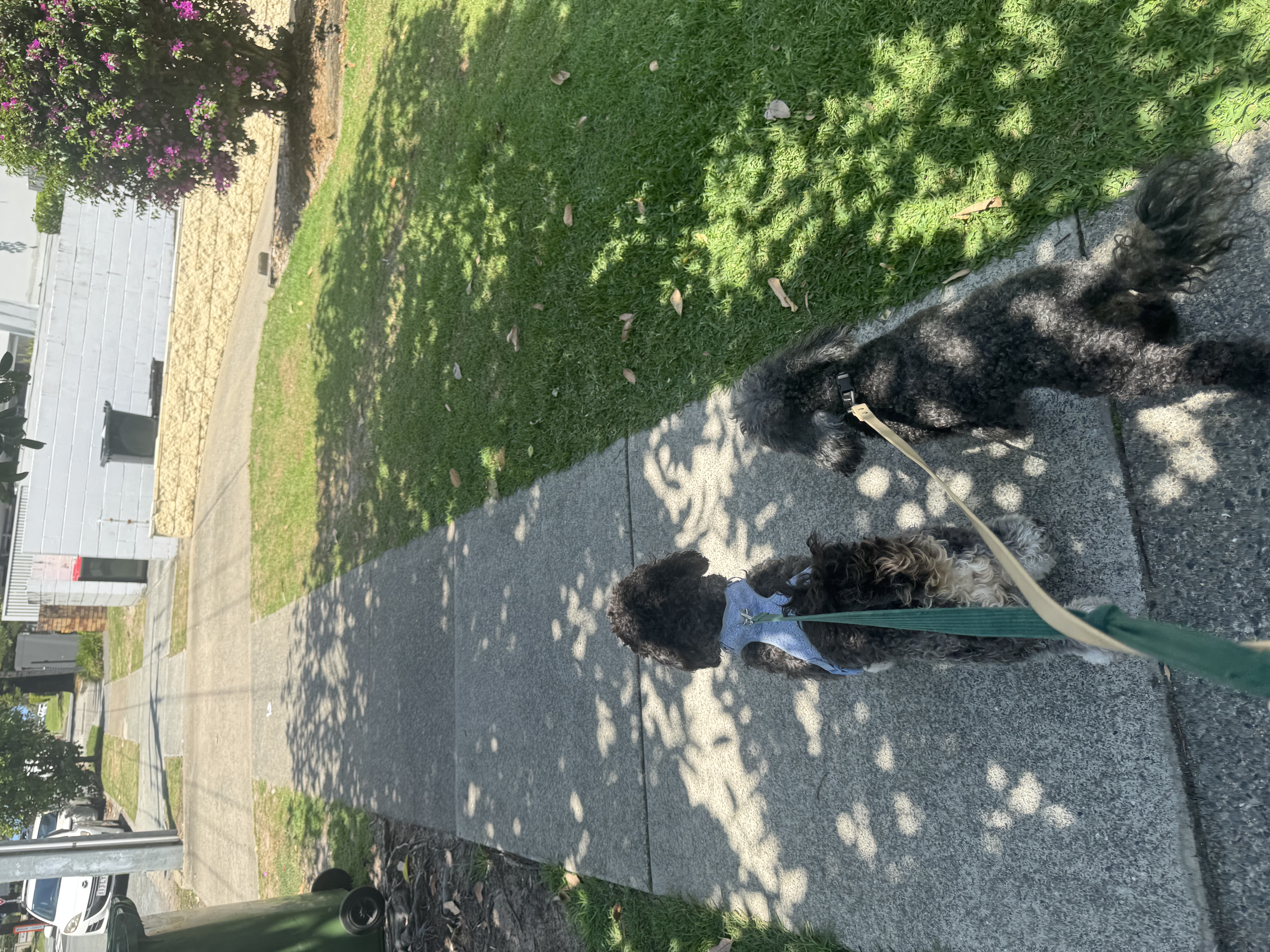 image-14
