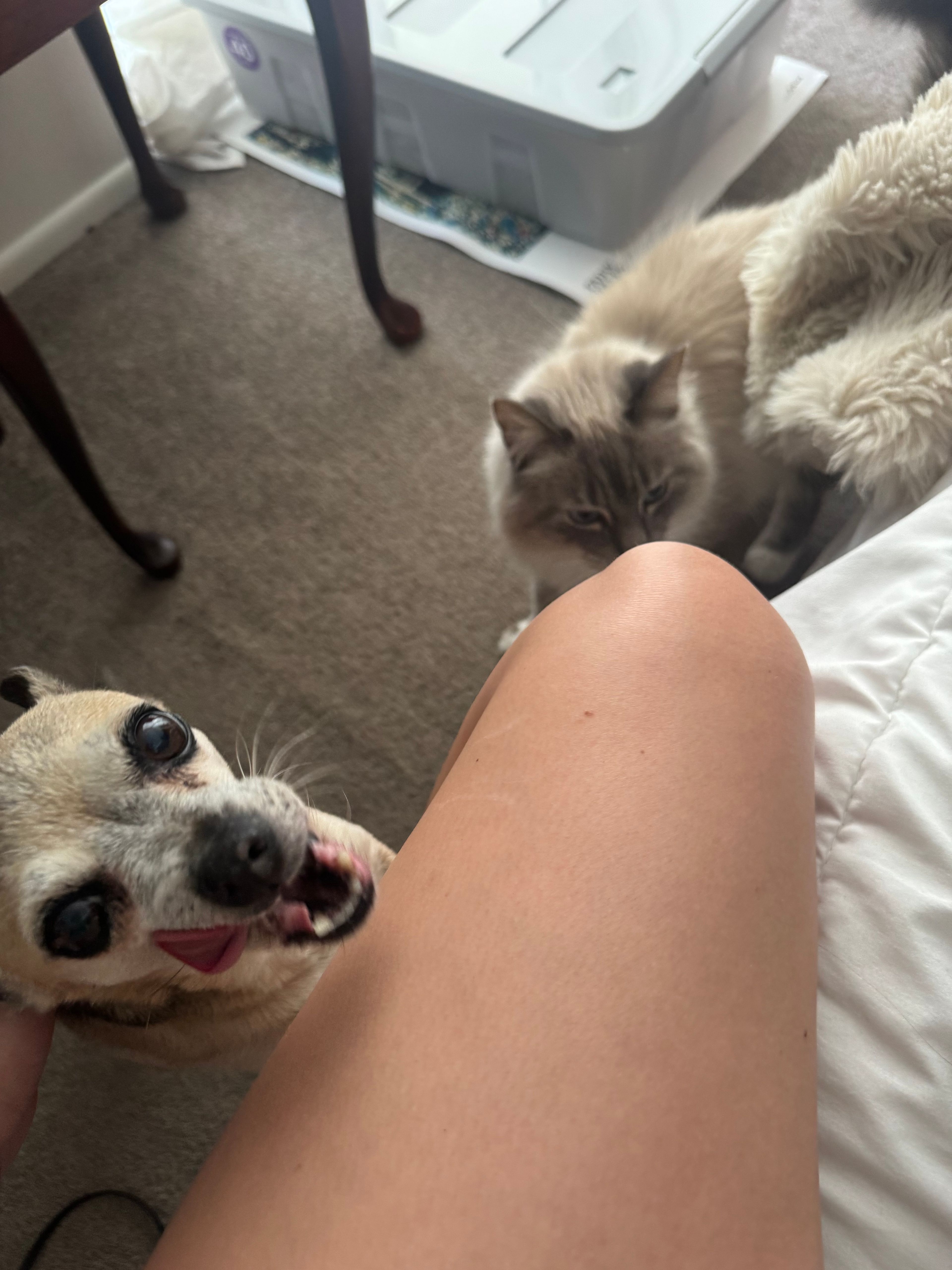 image-10