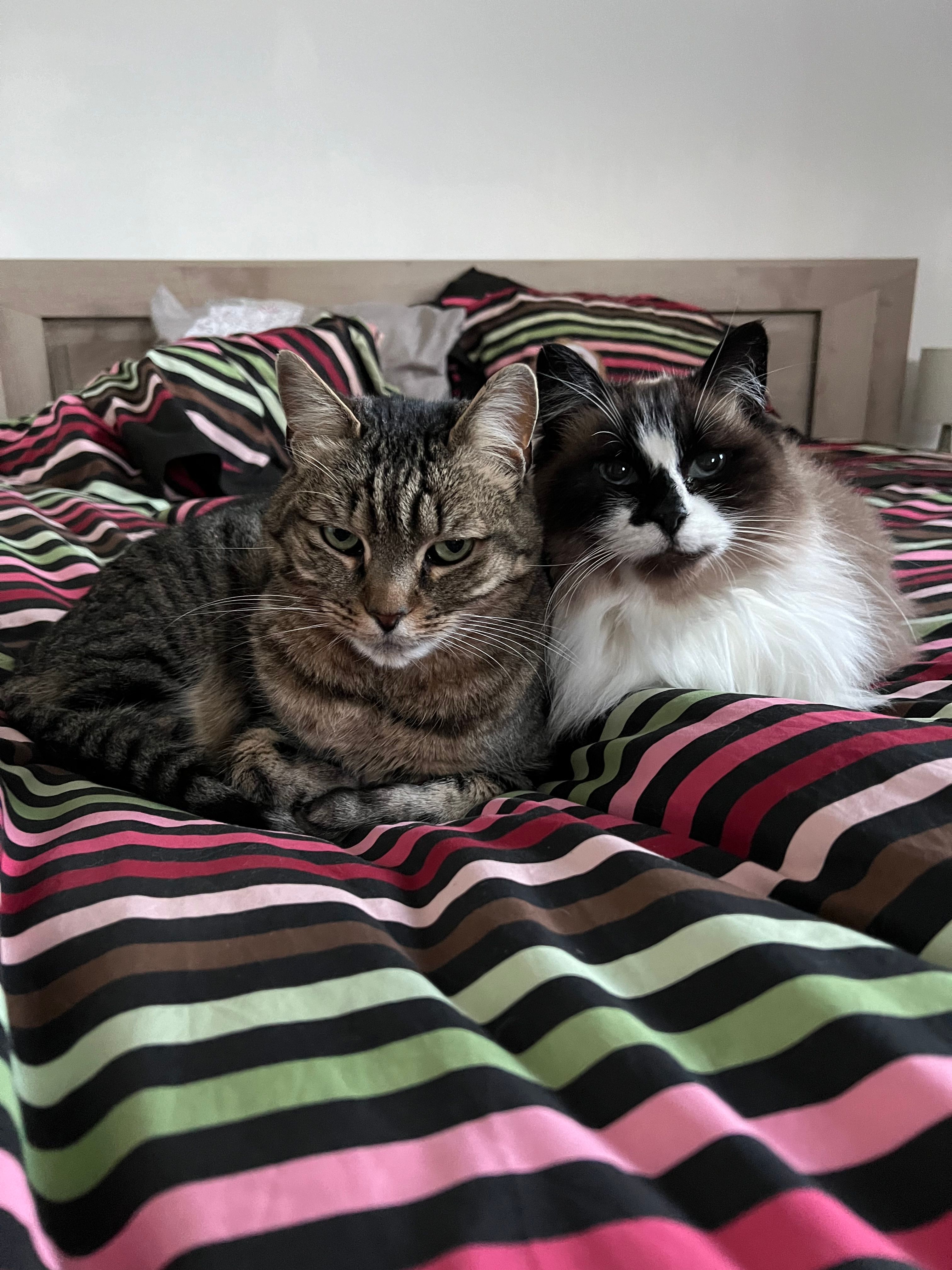 image-10