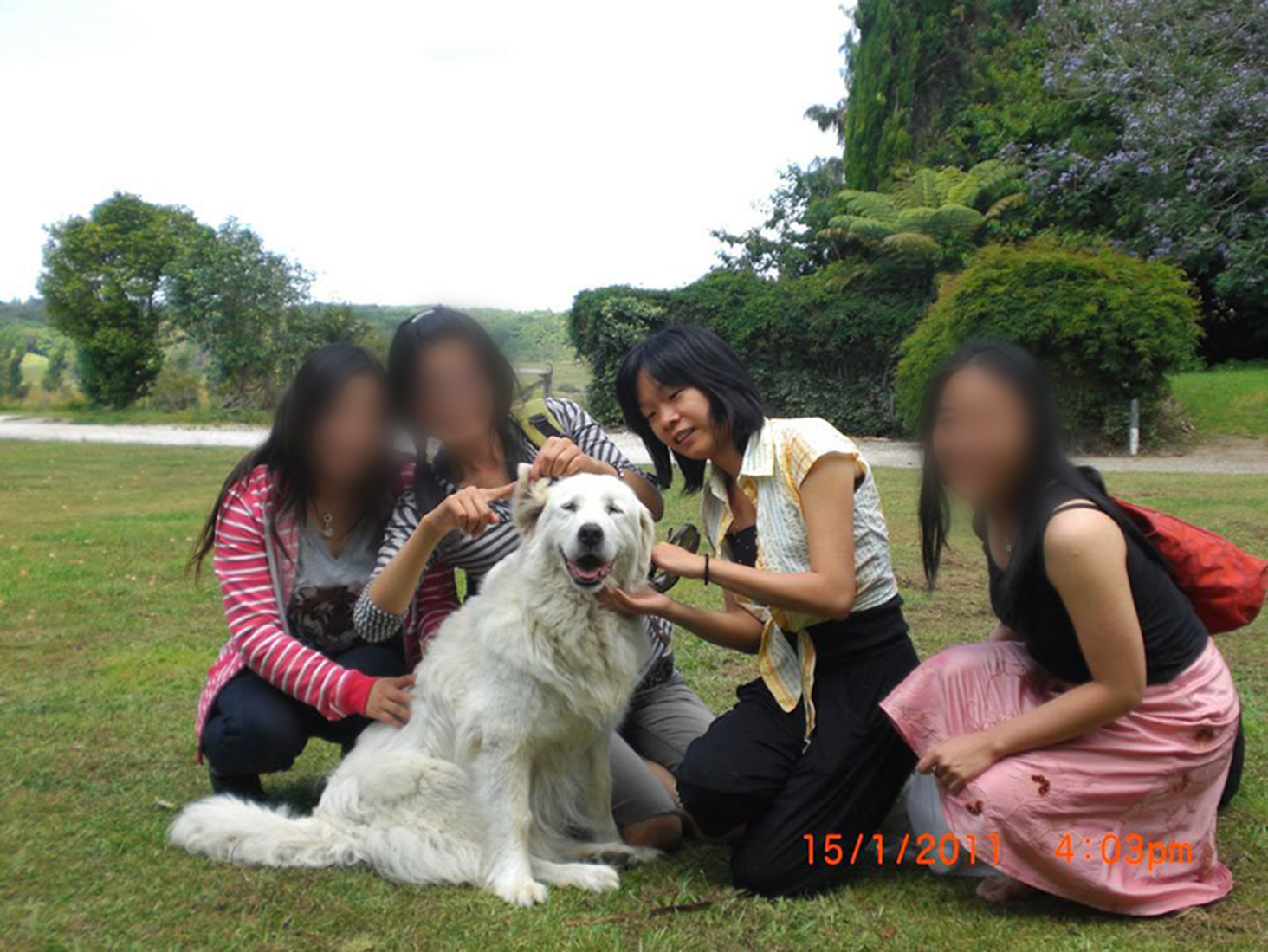 image-3