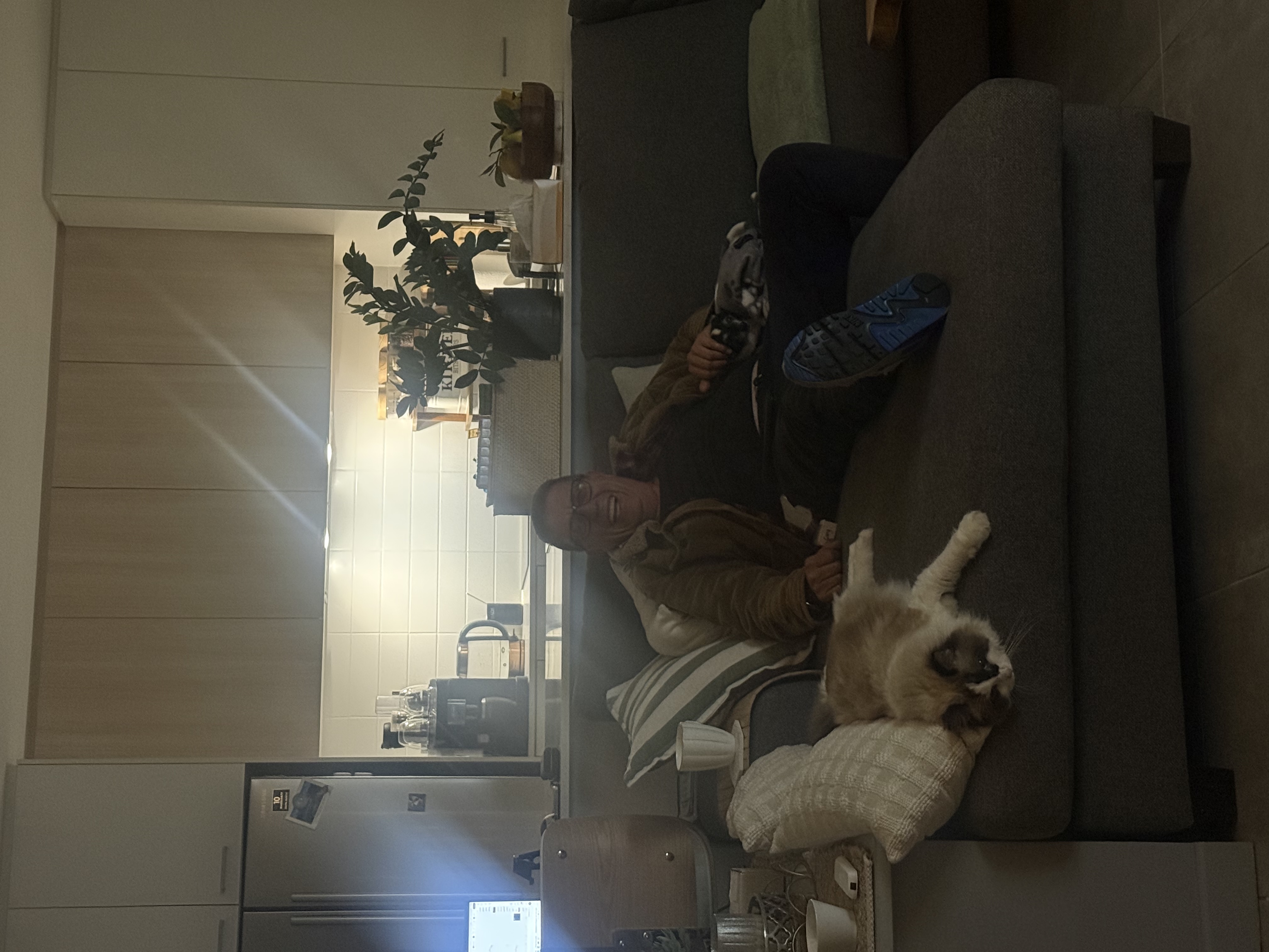 image-15