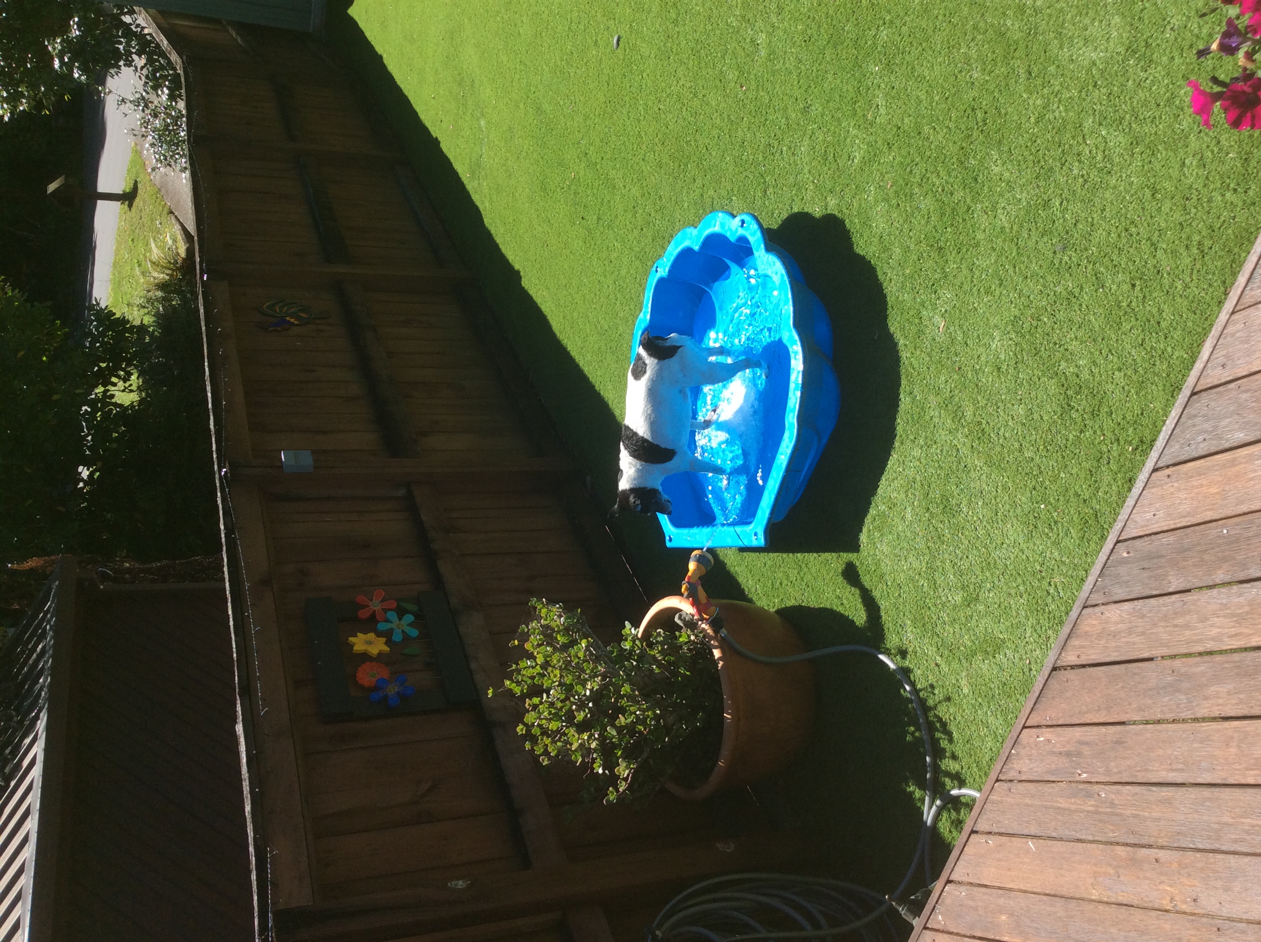 image-5