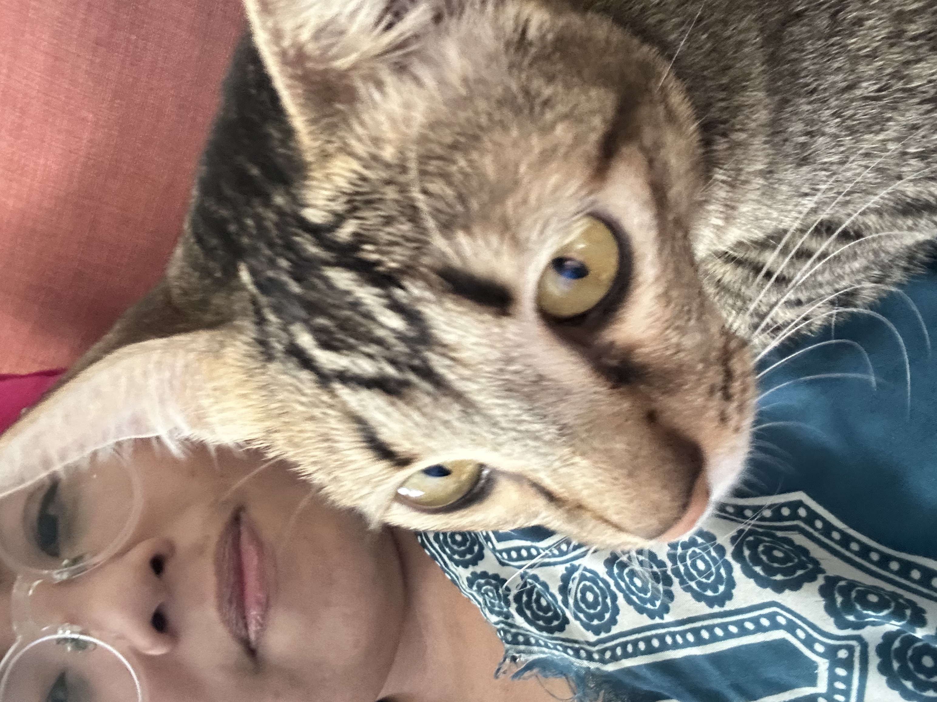 image-5