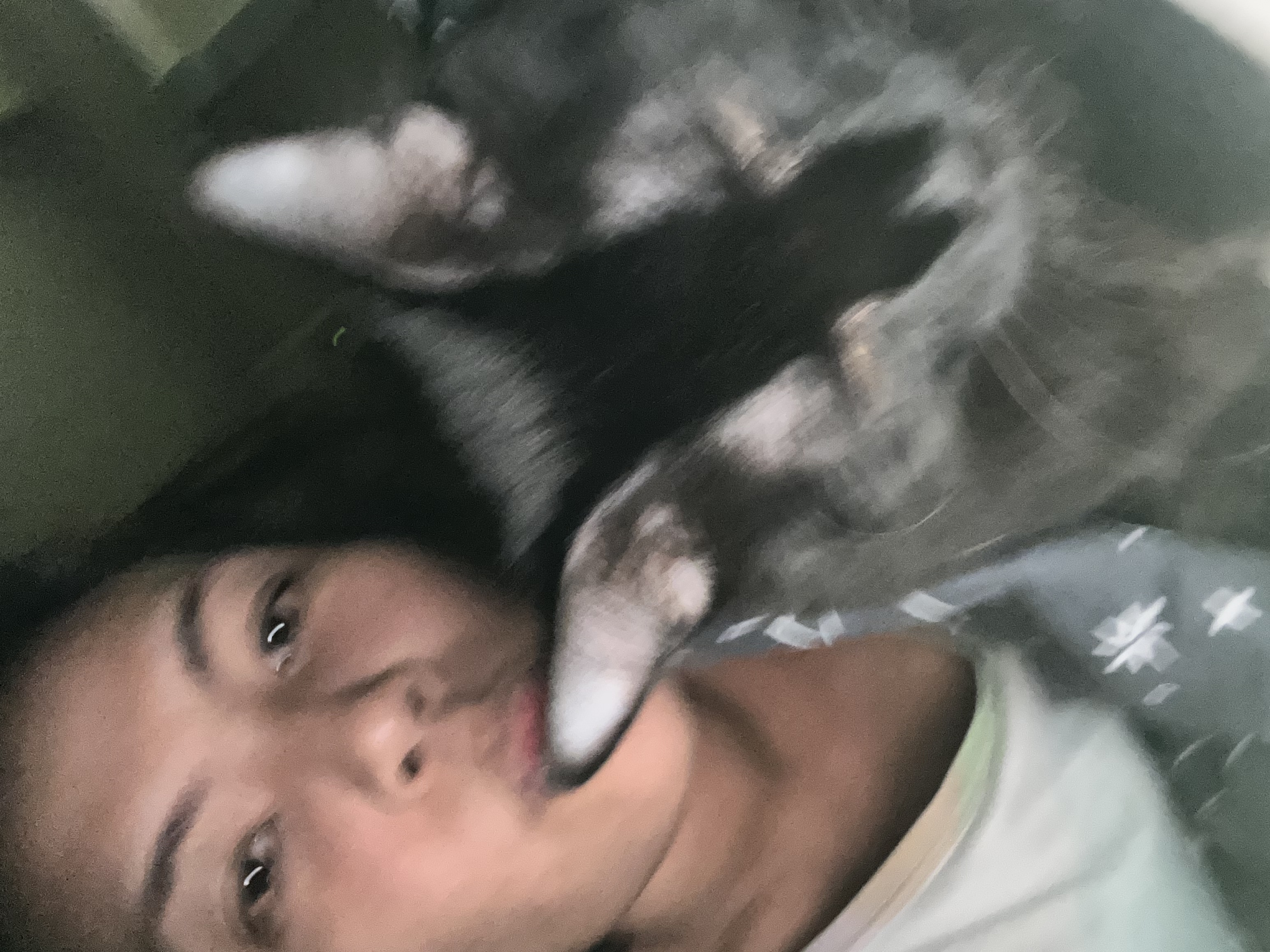 image-7
