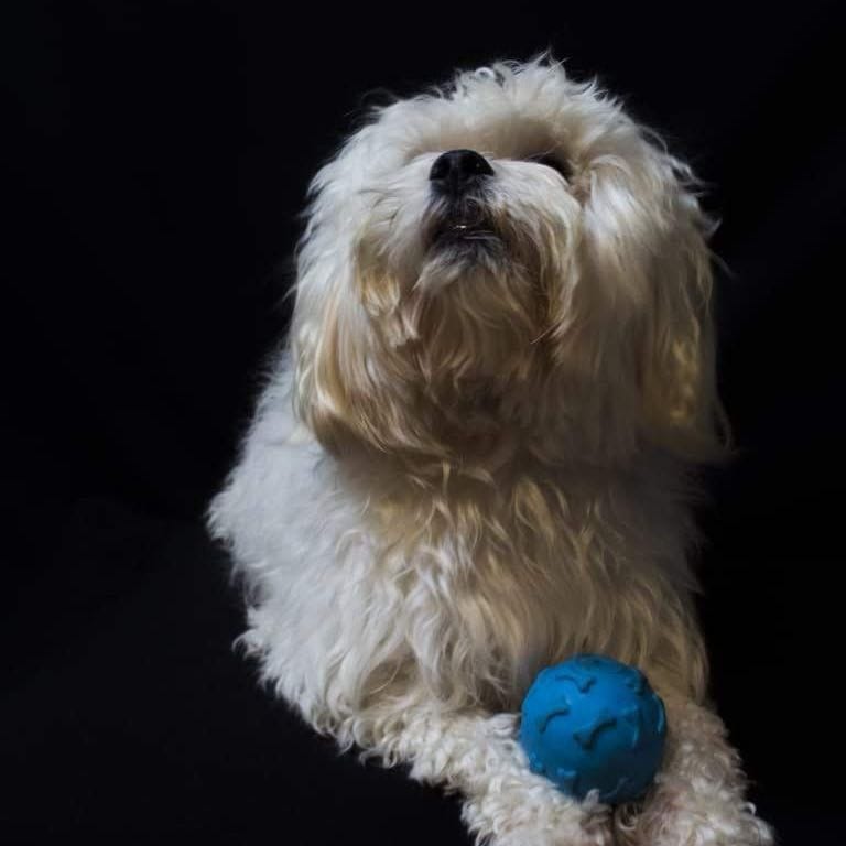 Tobby