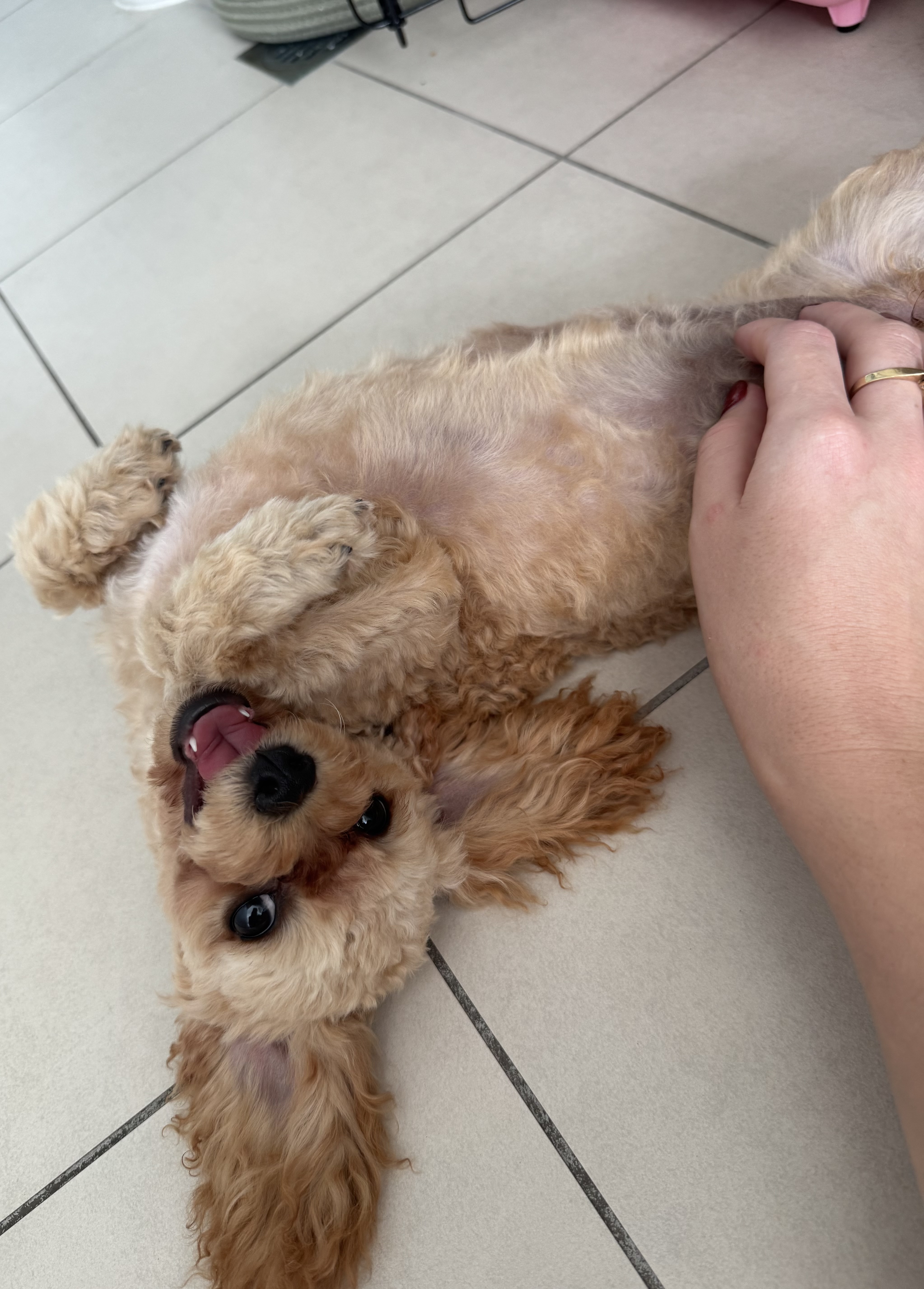 image-8