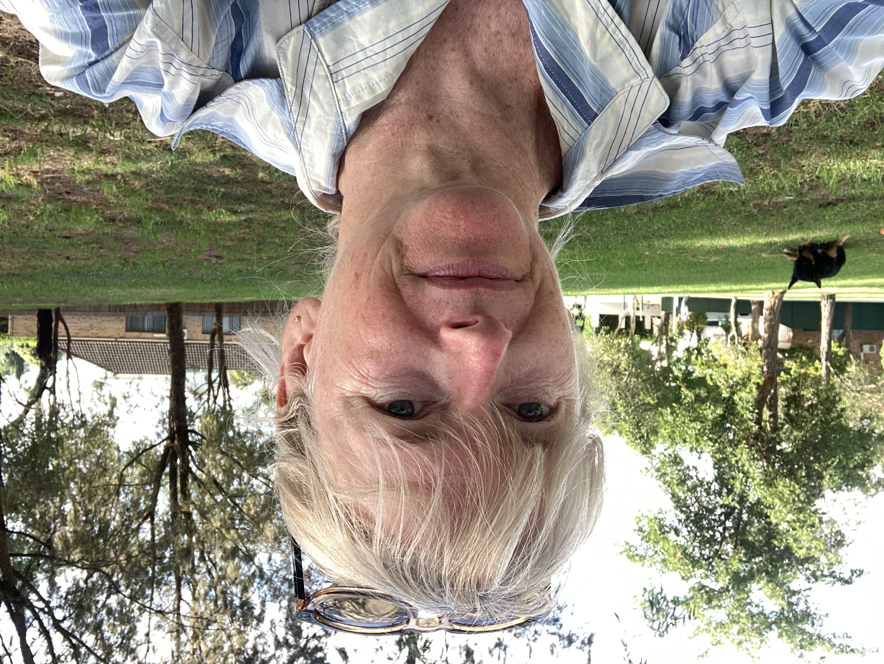 image-6