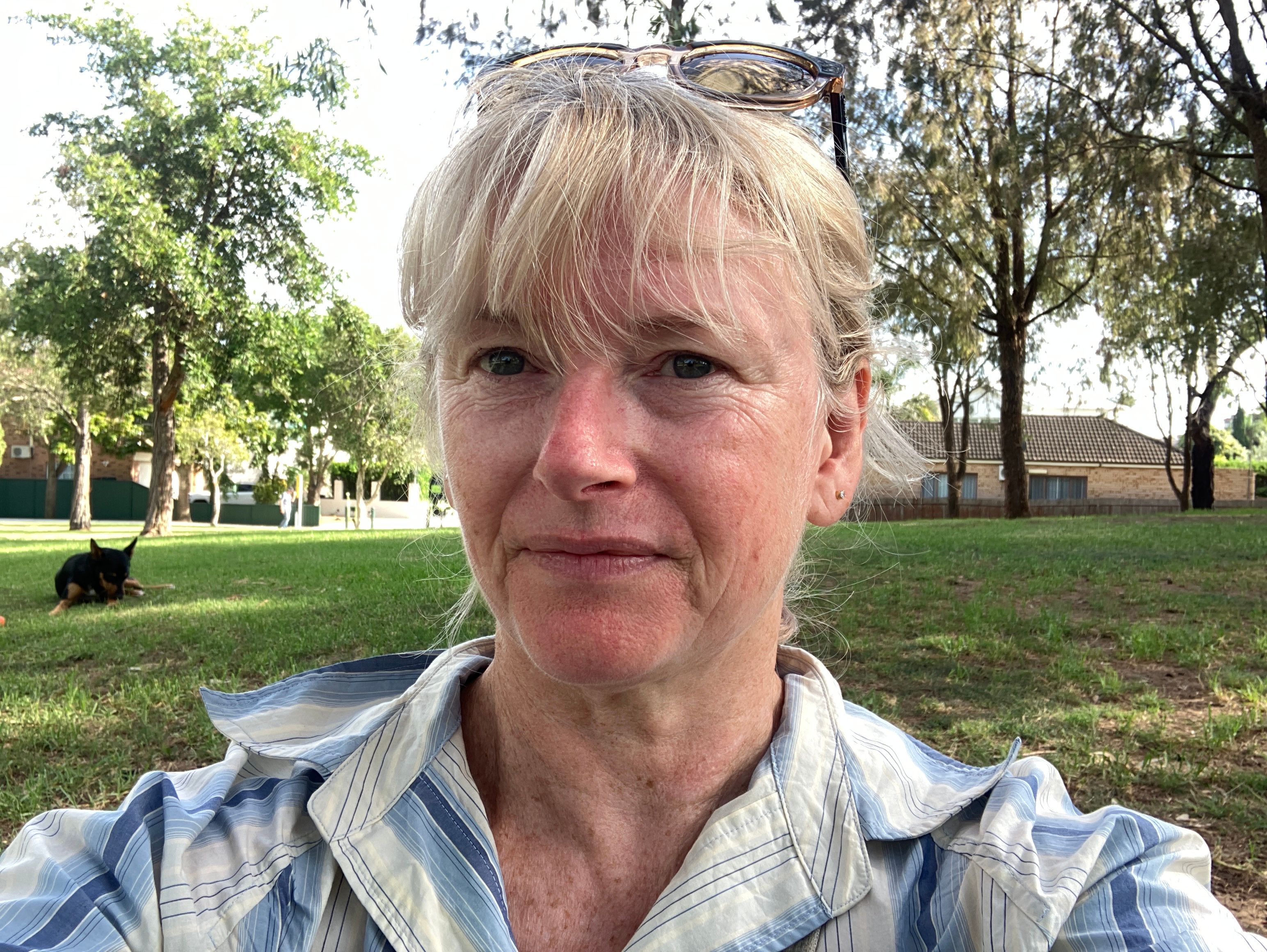 image-6