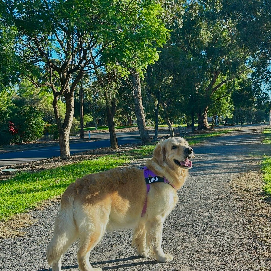 Luna