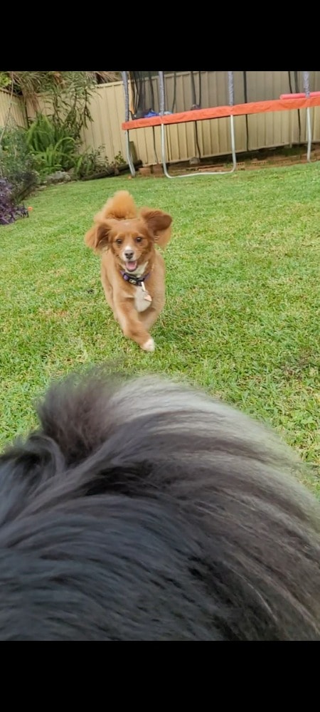 image-11