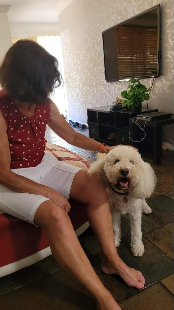 image-21