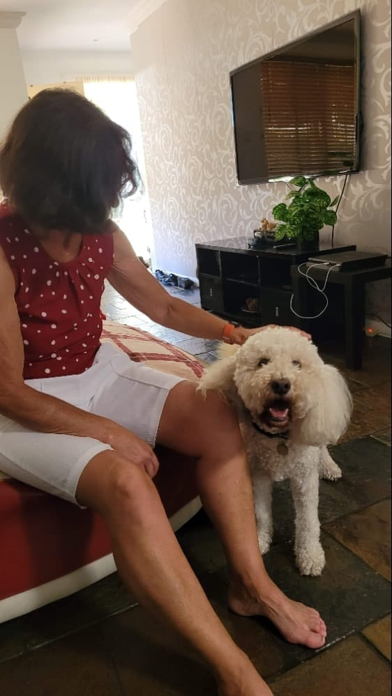 image-21