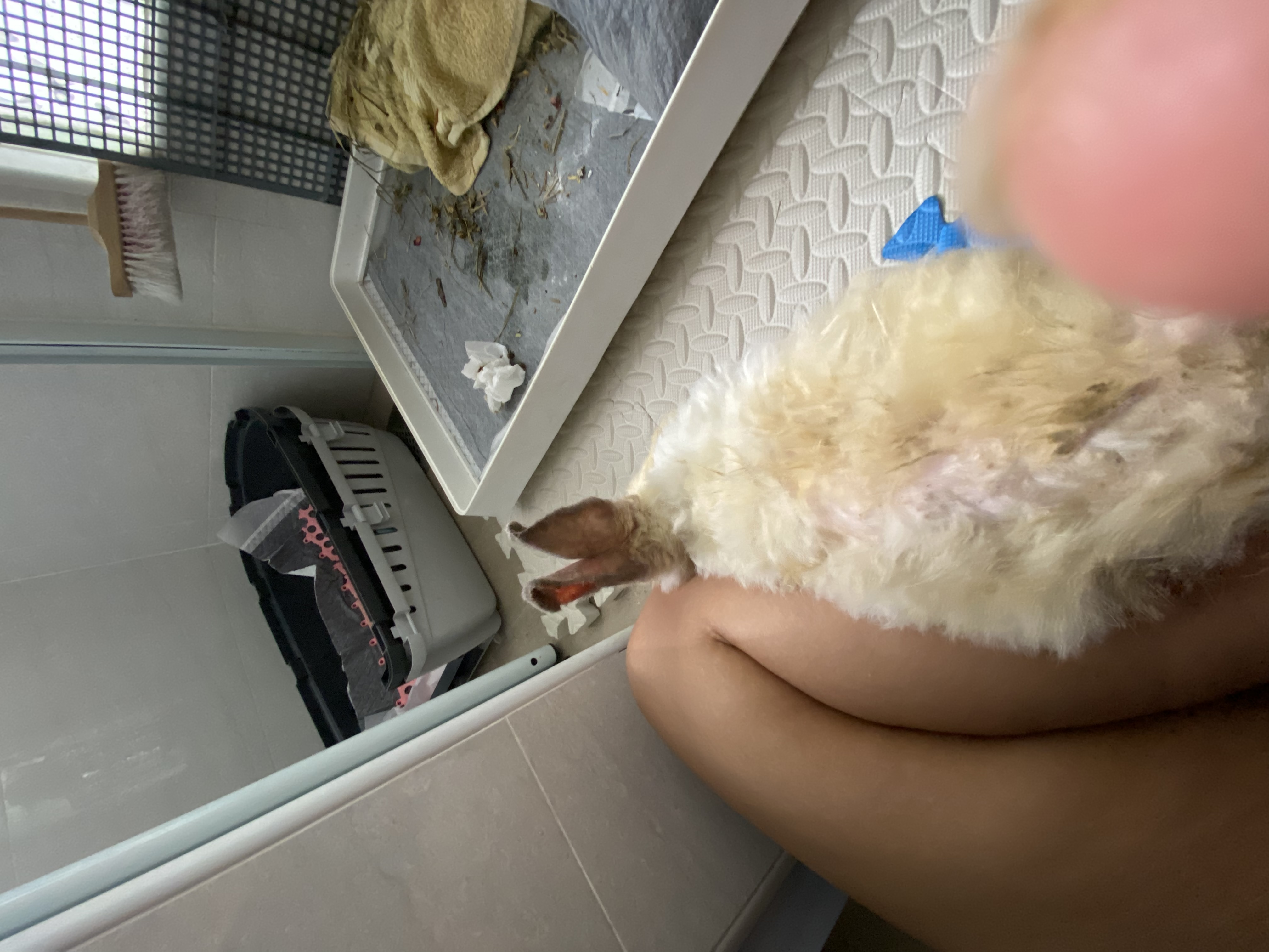 image-6