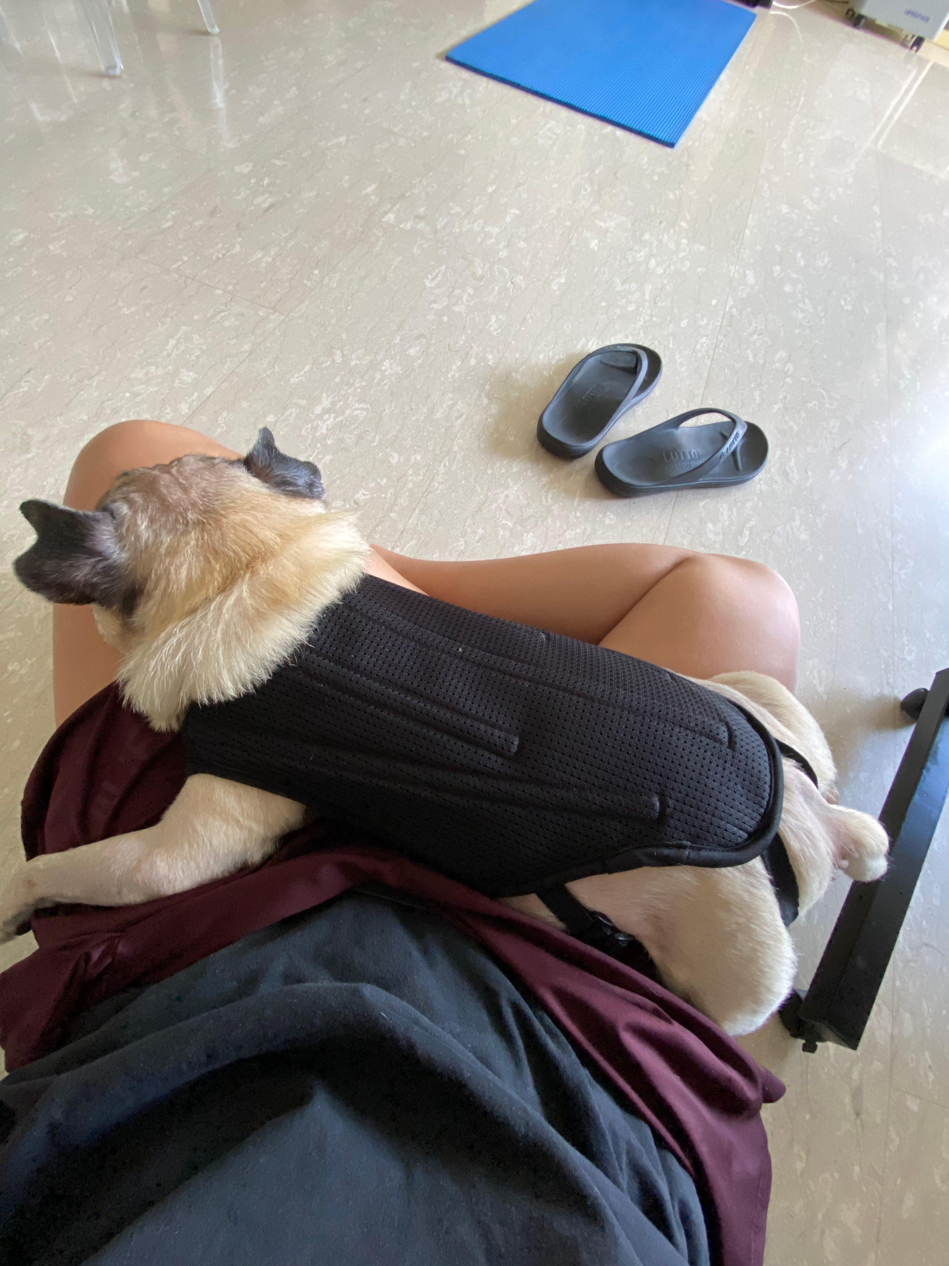 image-4