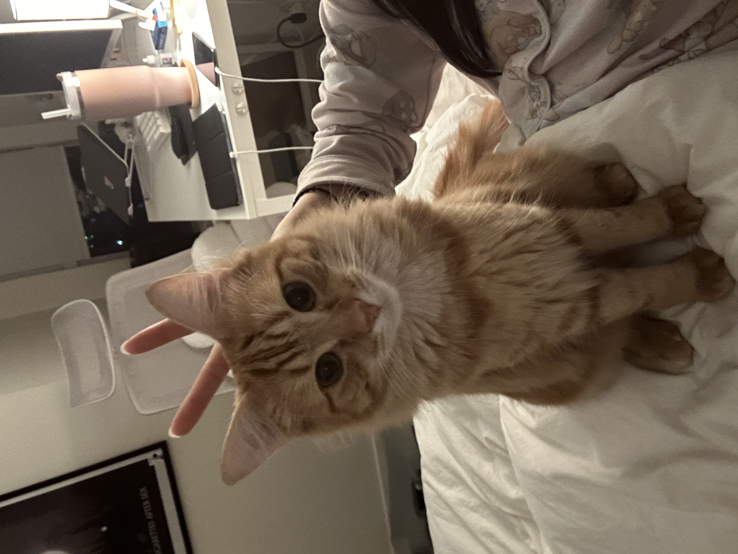 image-6