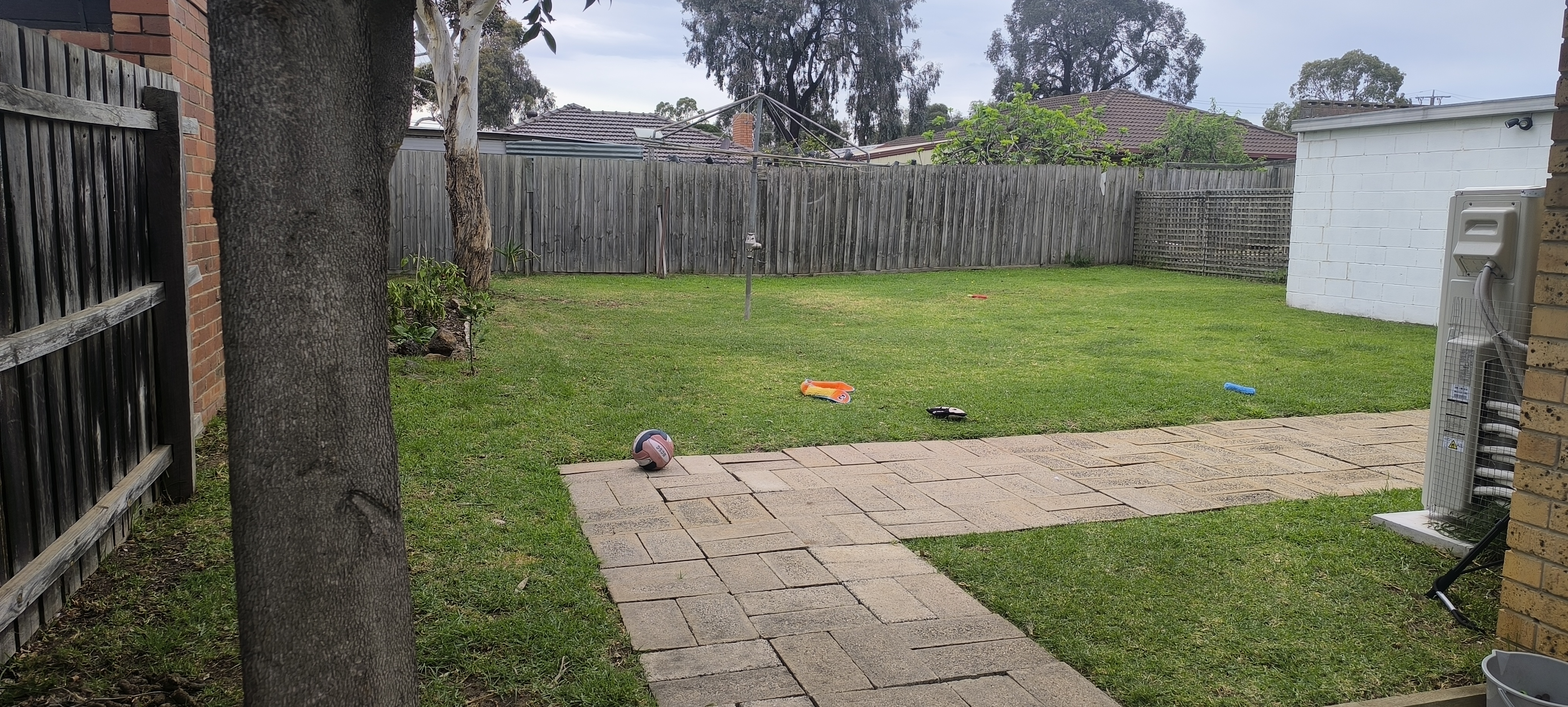 image-4