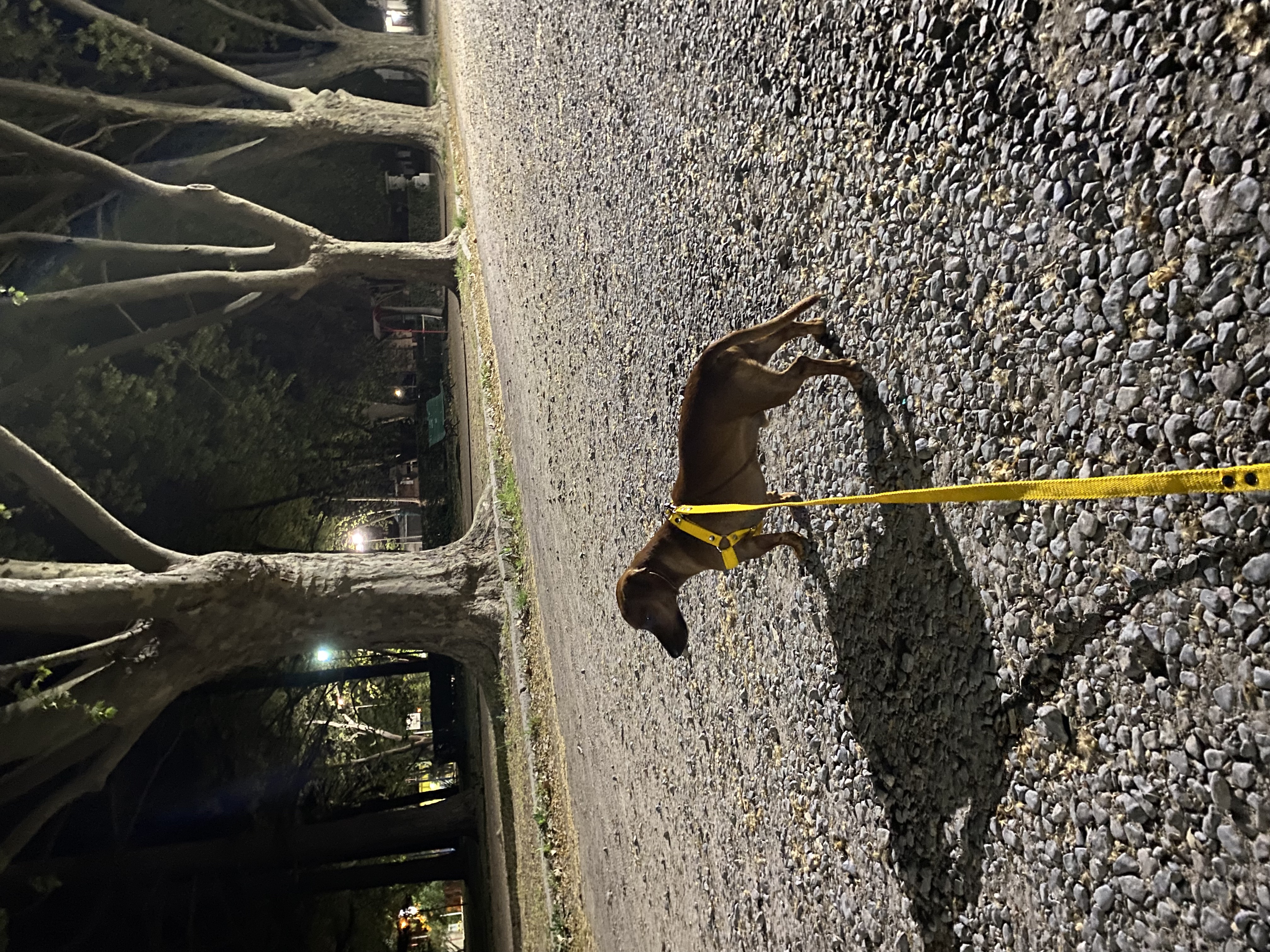 image-6