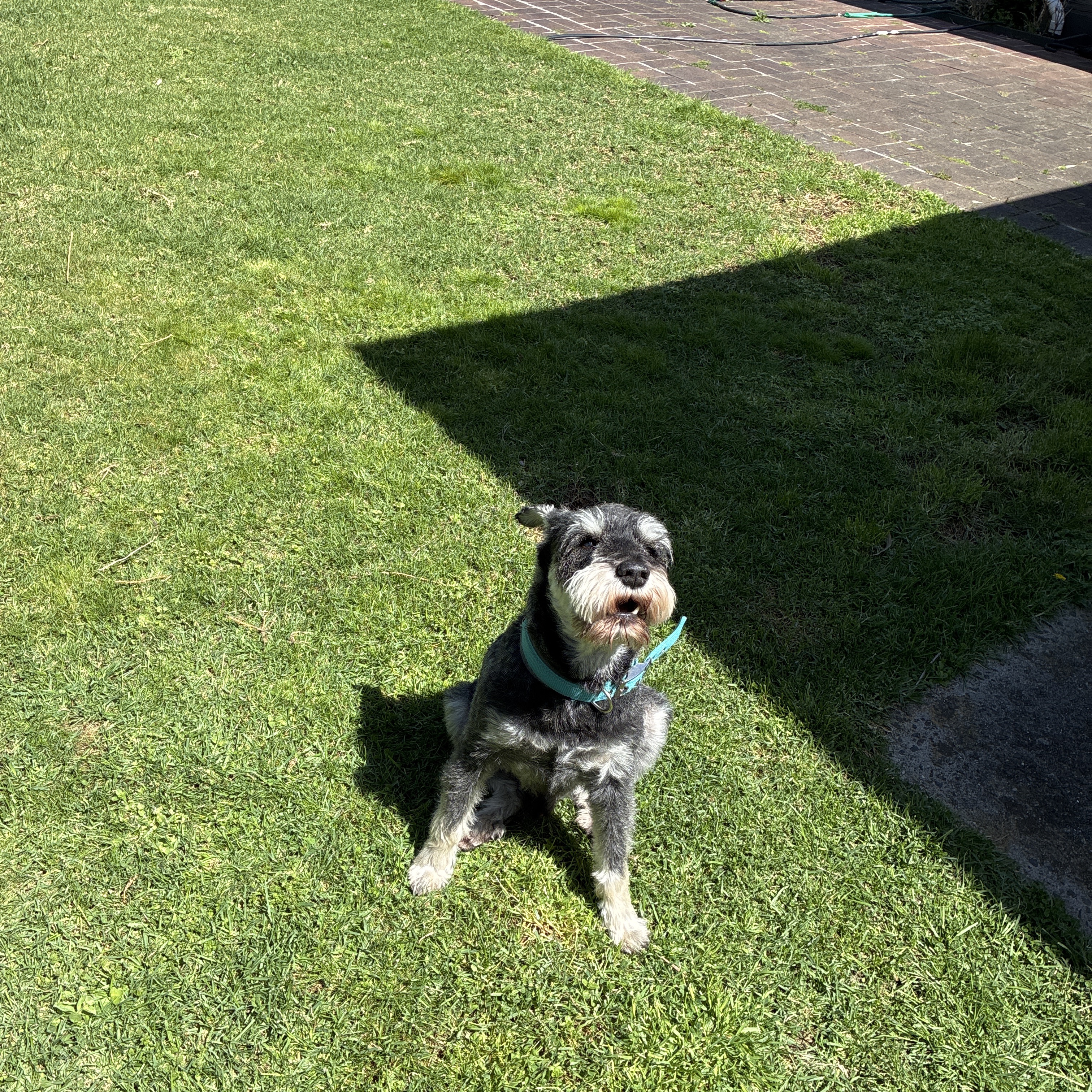 Coco