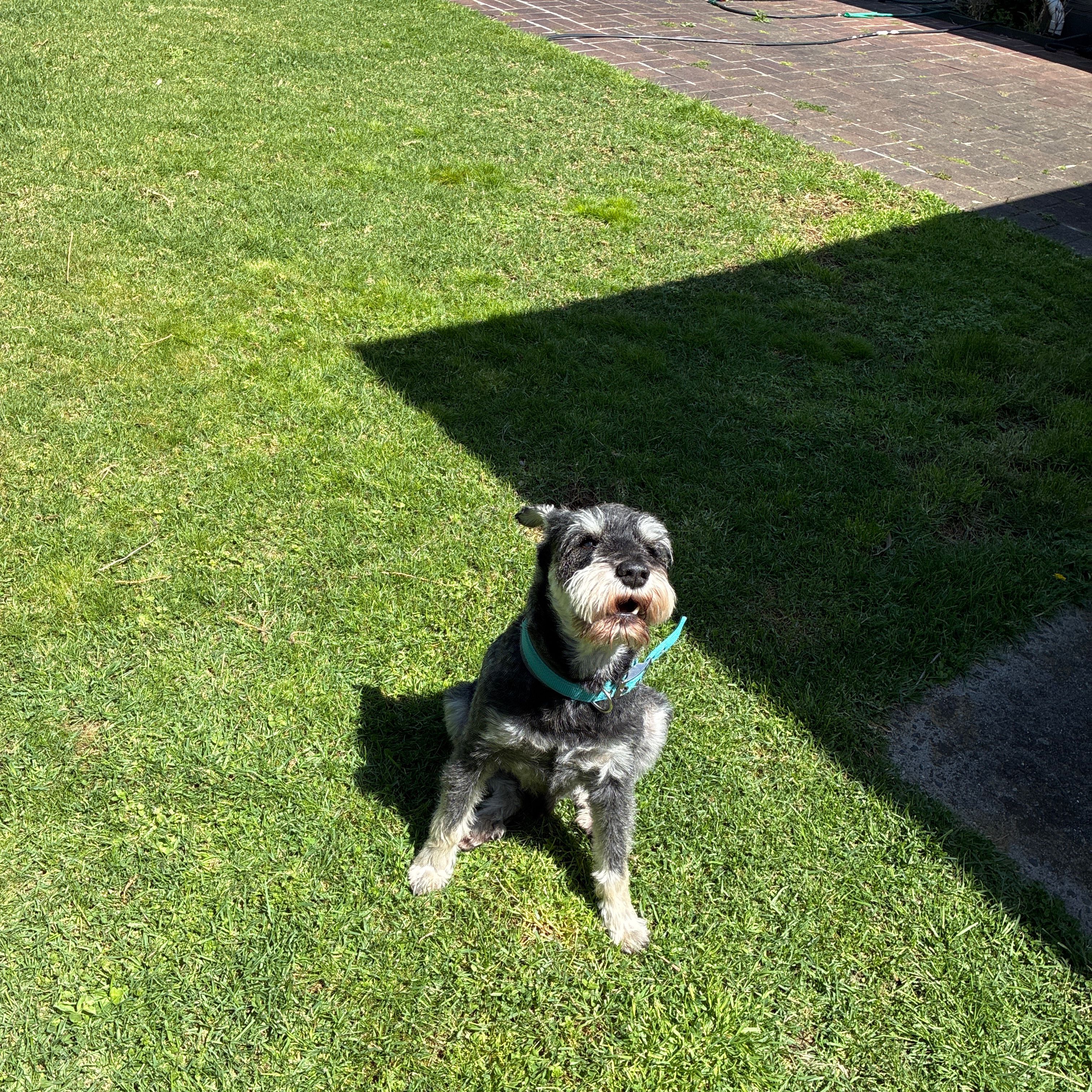 Coco