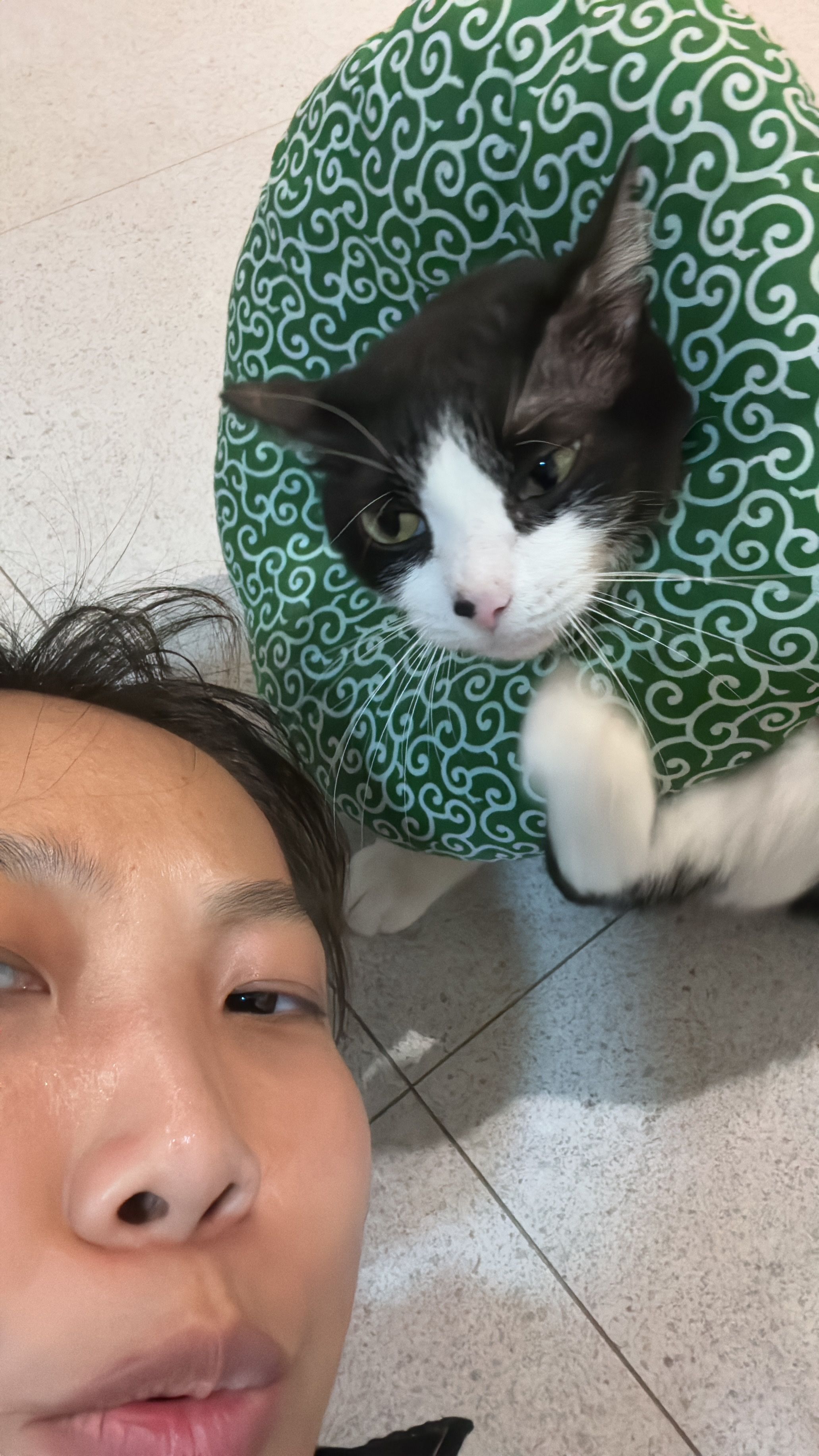 image-10