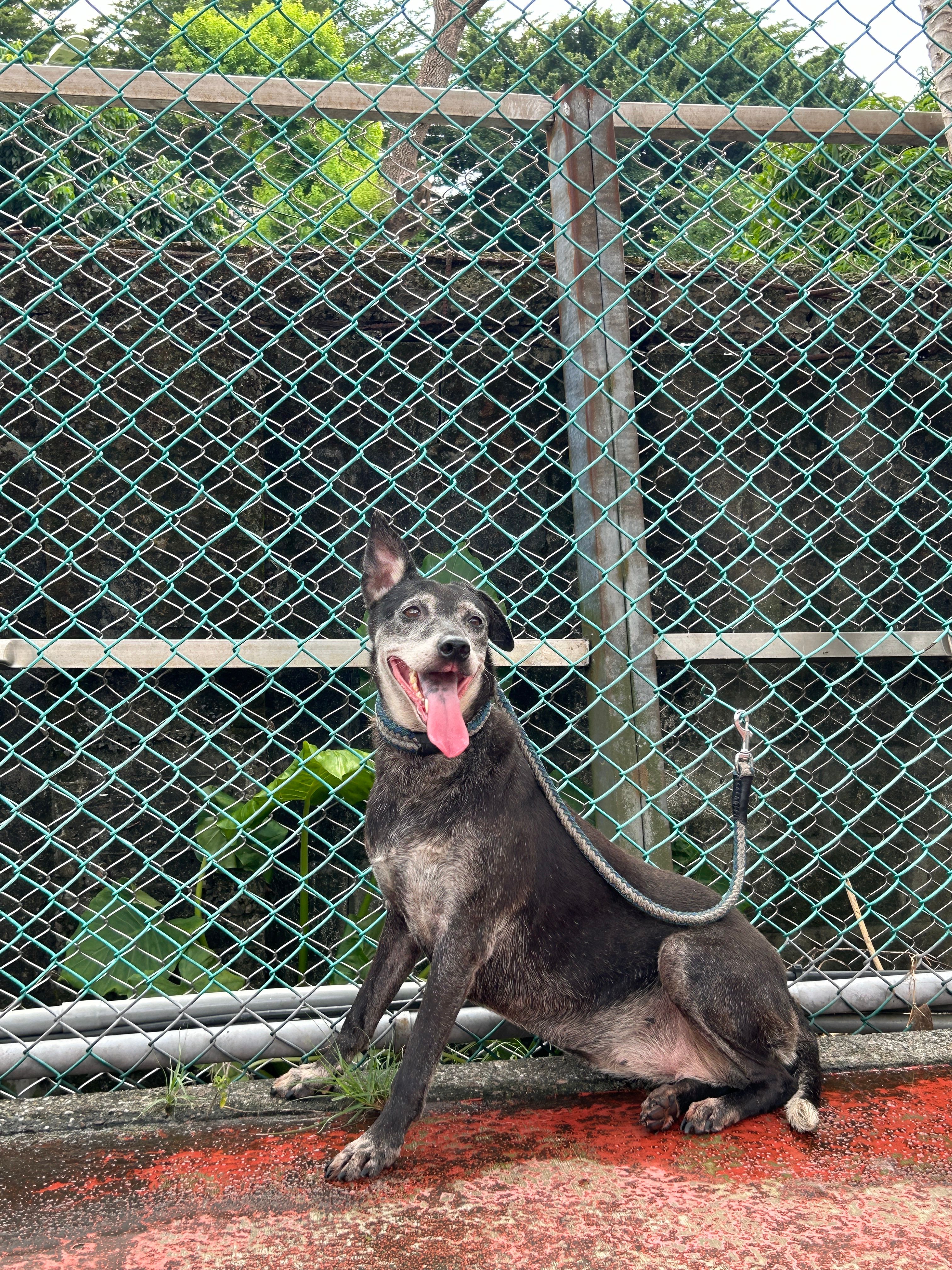 image-7