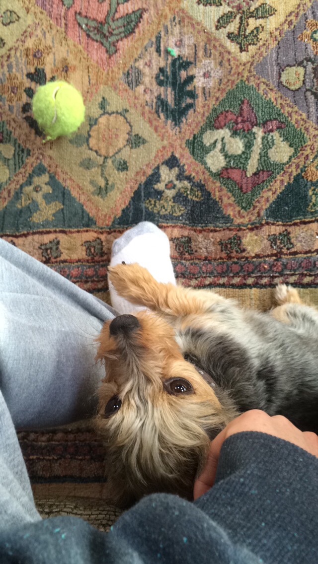 image-7