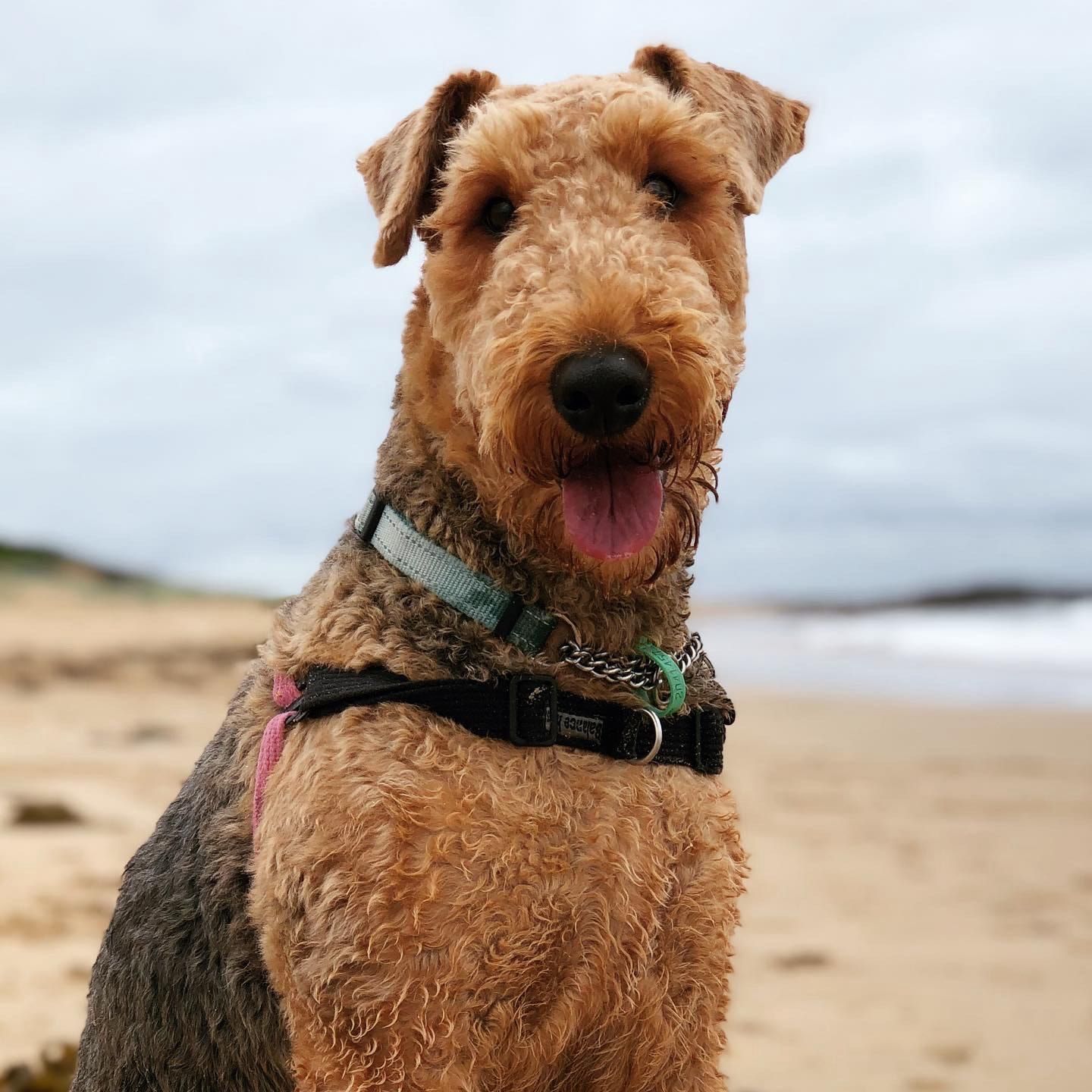 Tilly