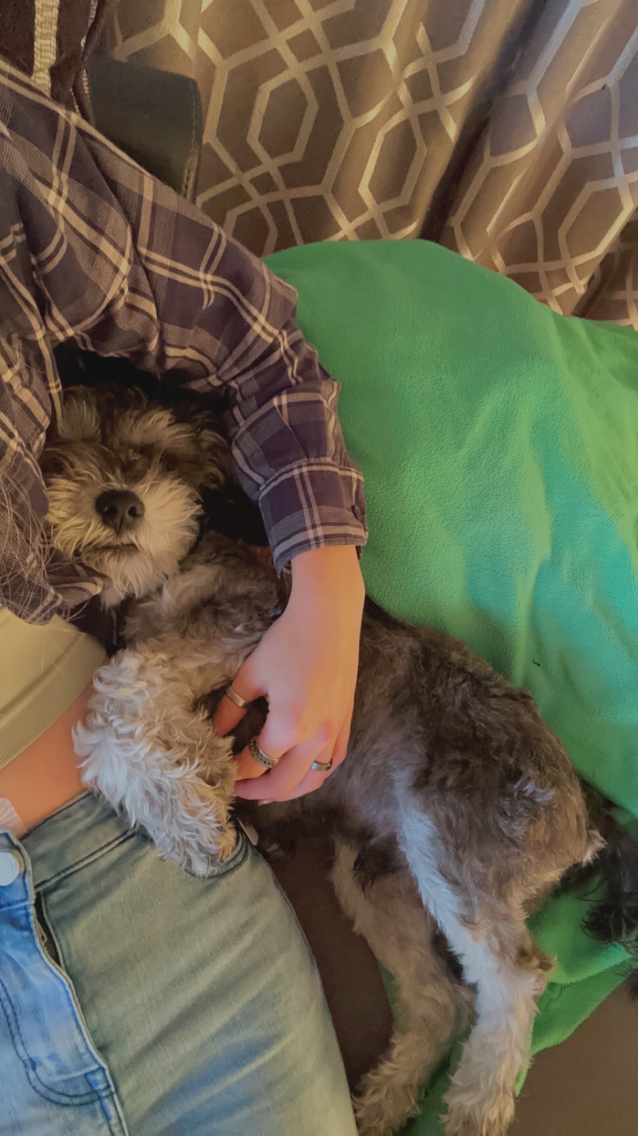 image-6