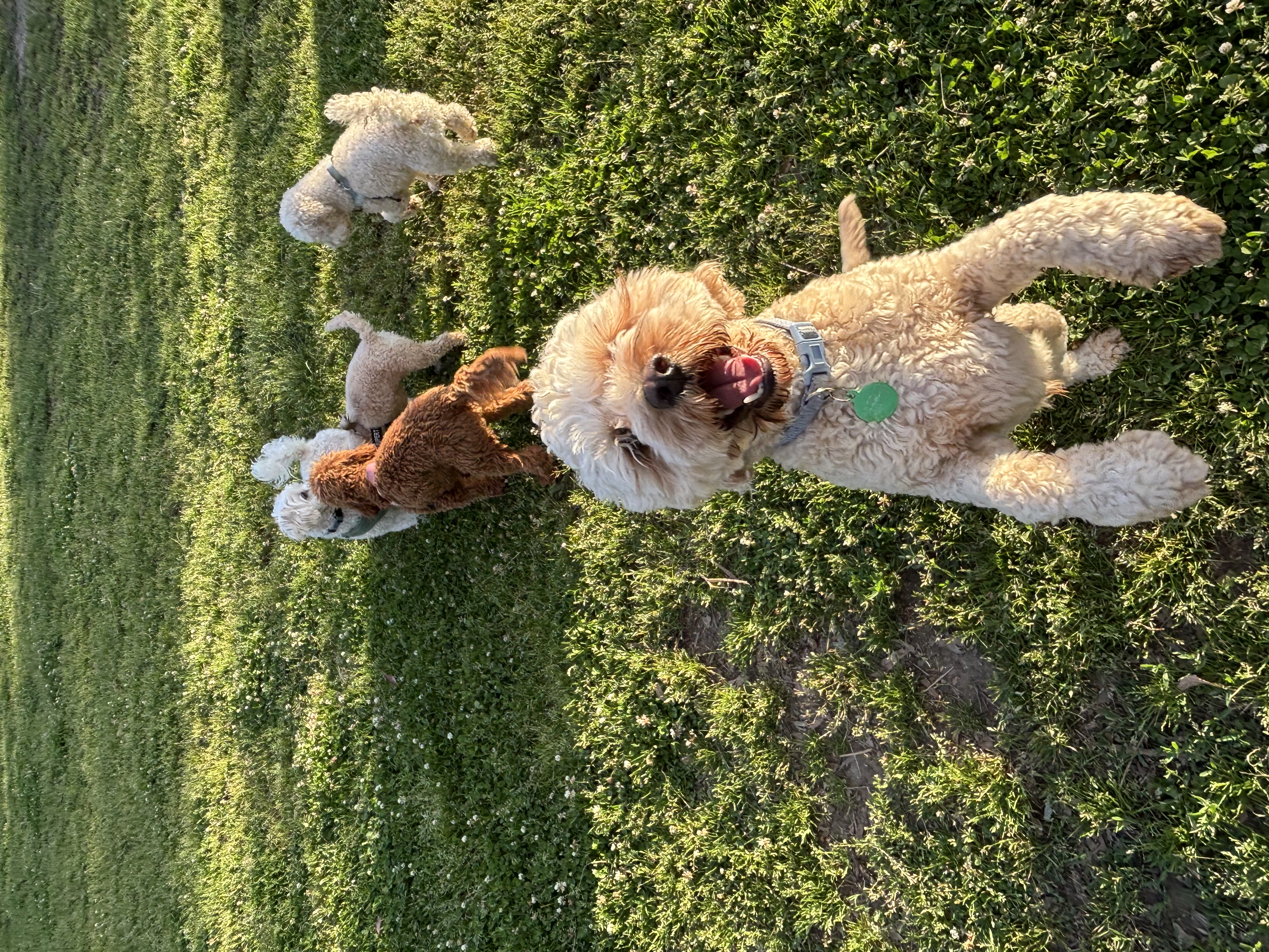 image-6
