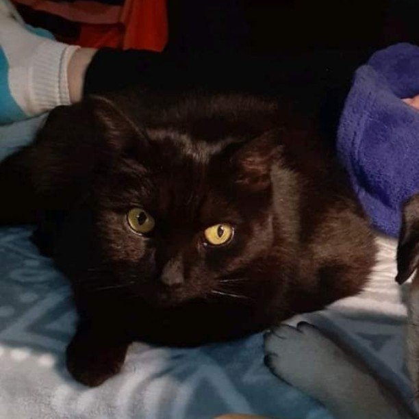 Xena