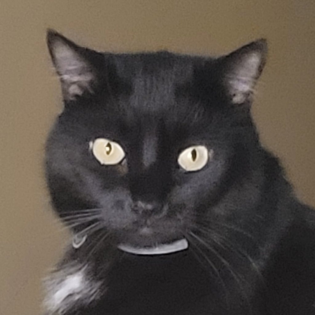 Sambucca
