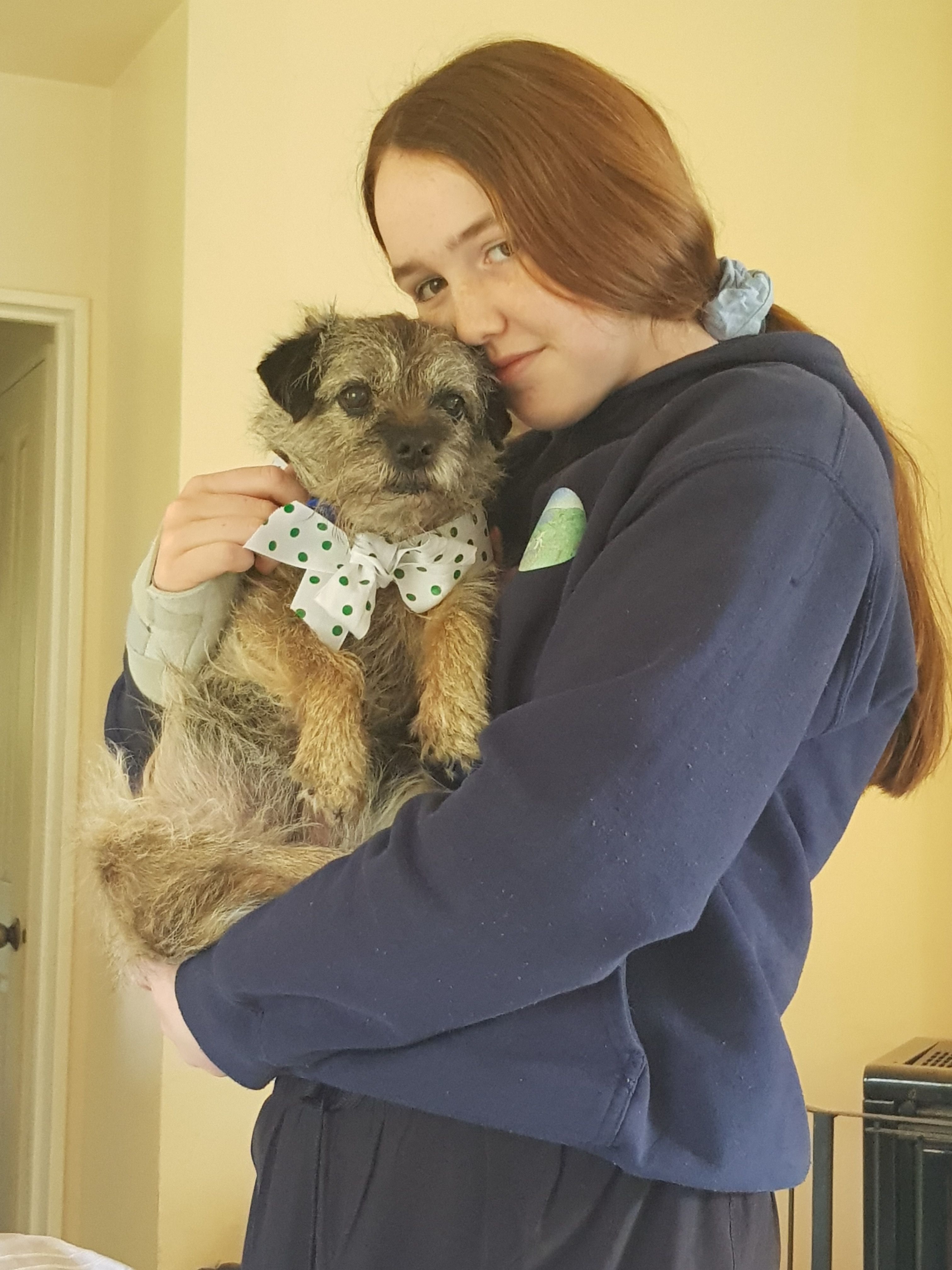 image-8