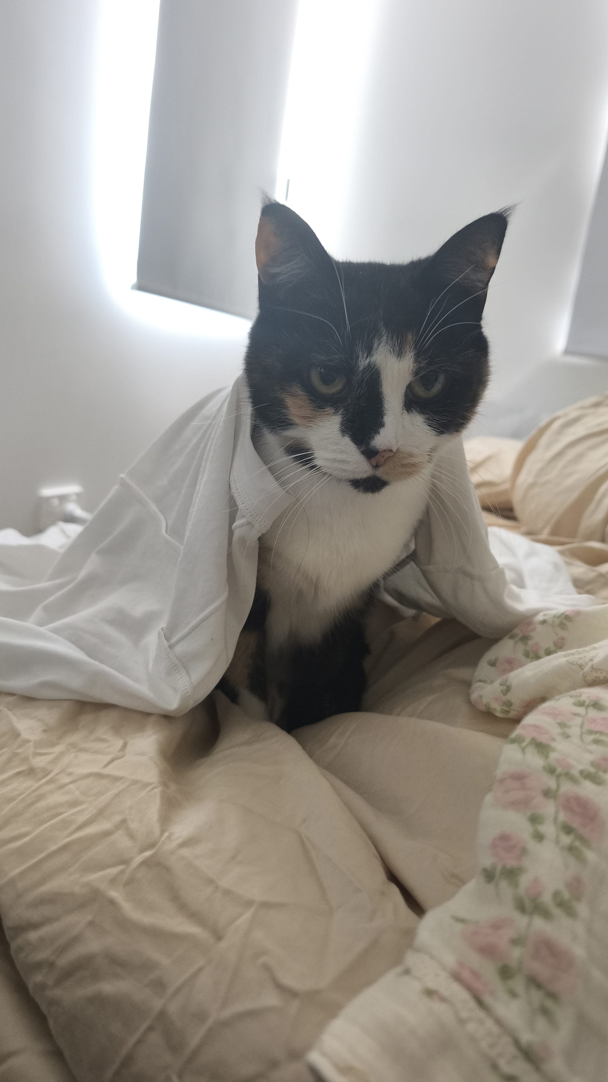 image-6