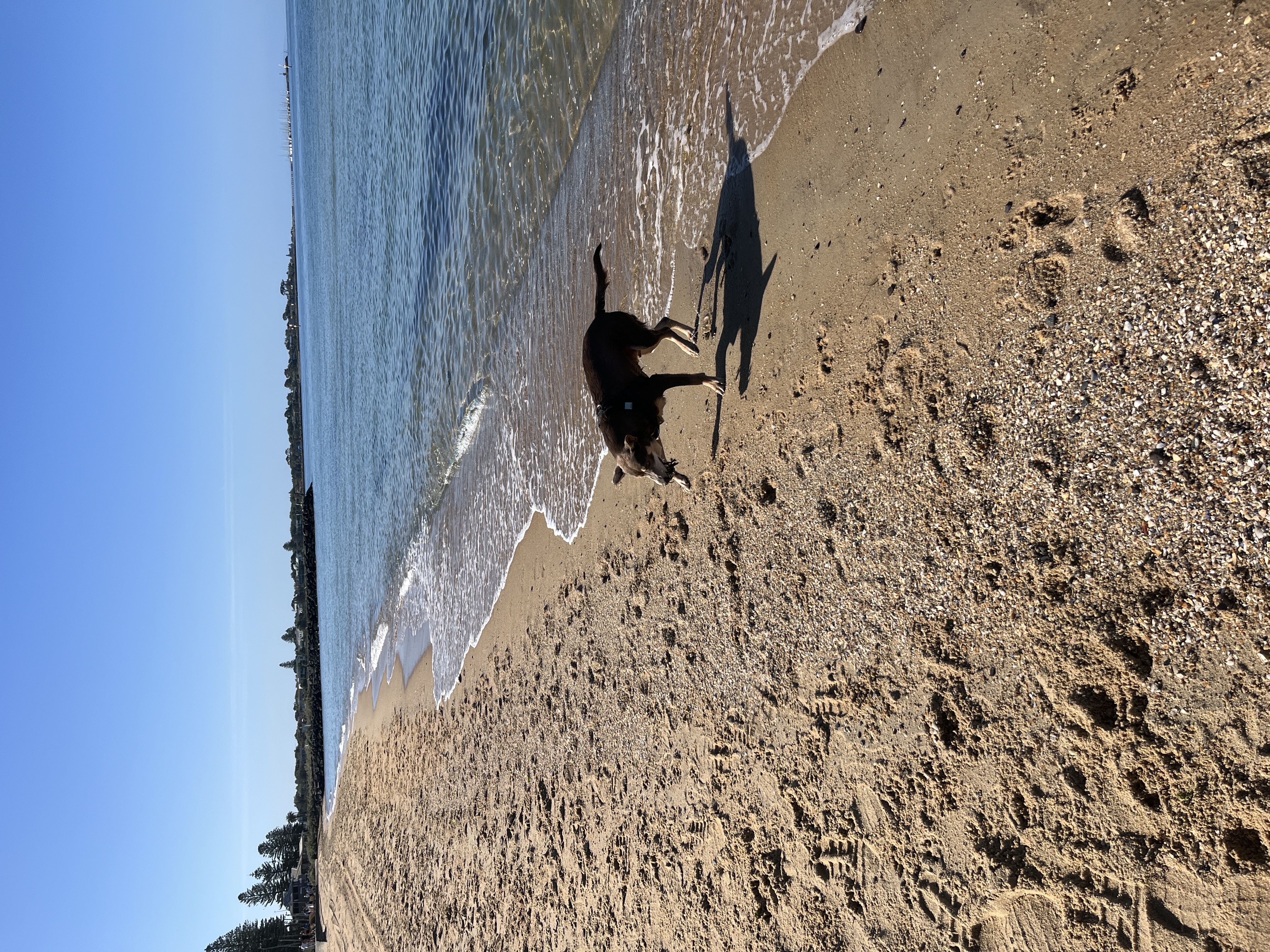 image-10