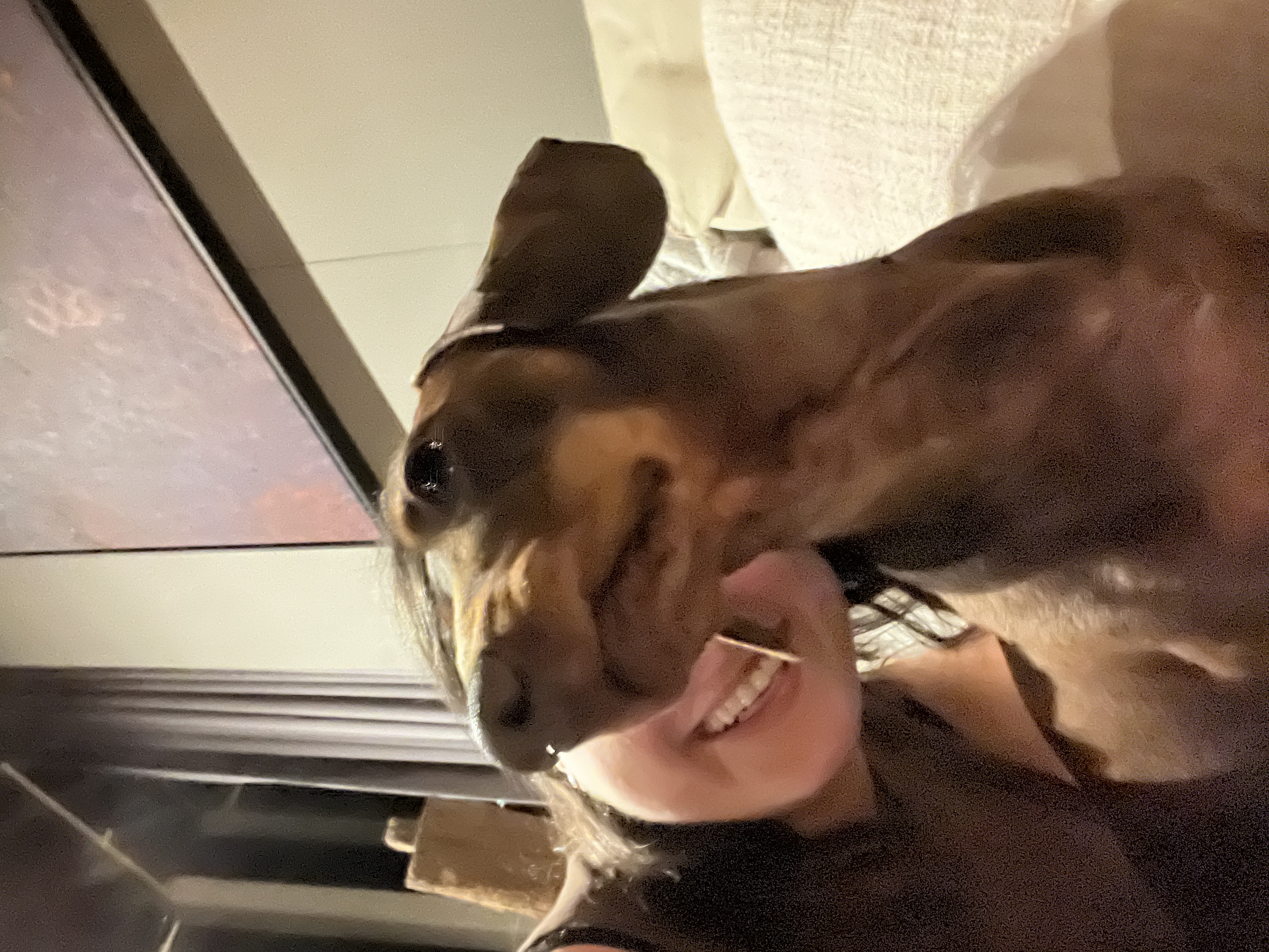 image-4