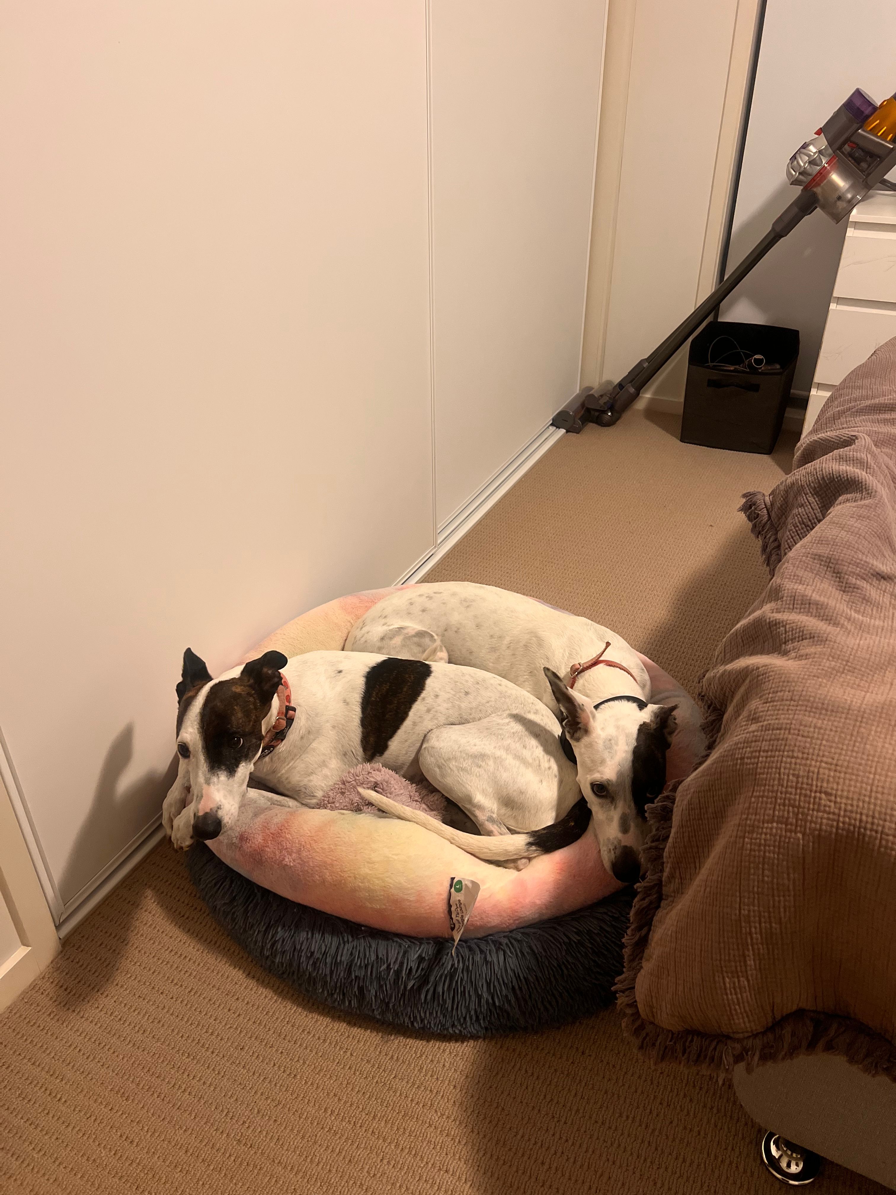 image-14