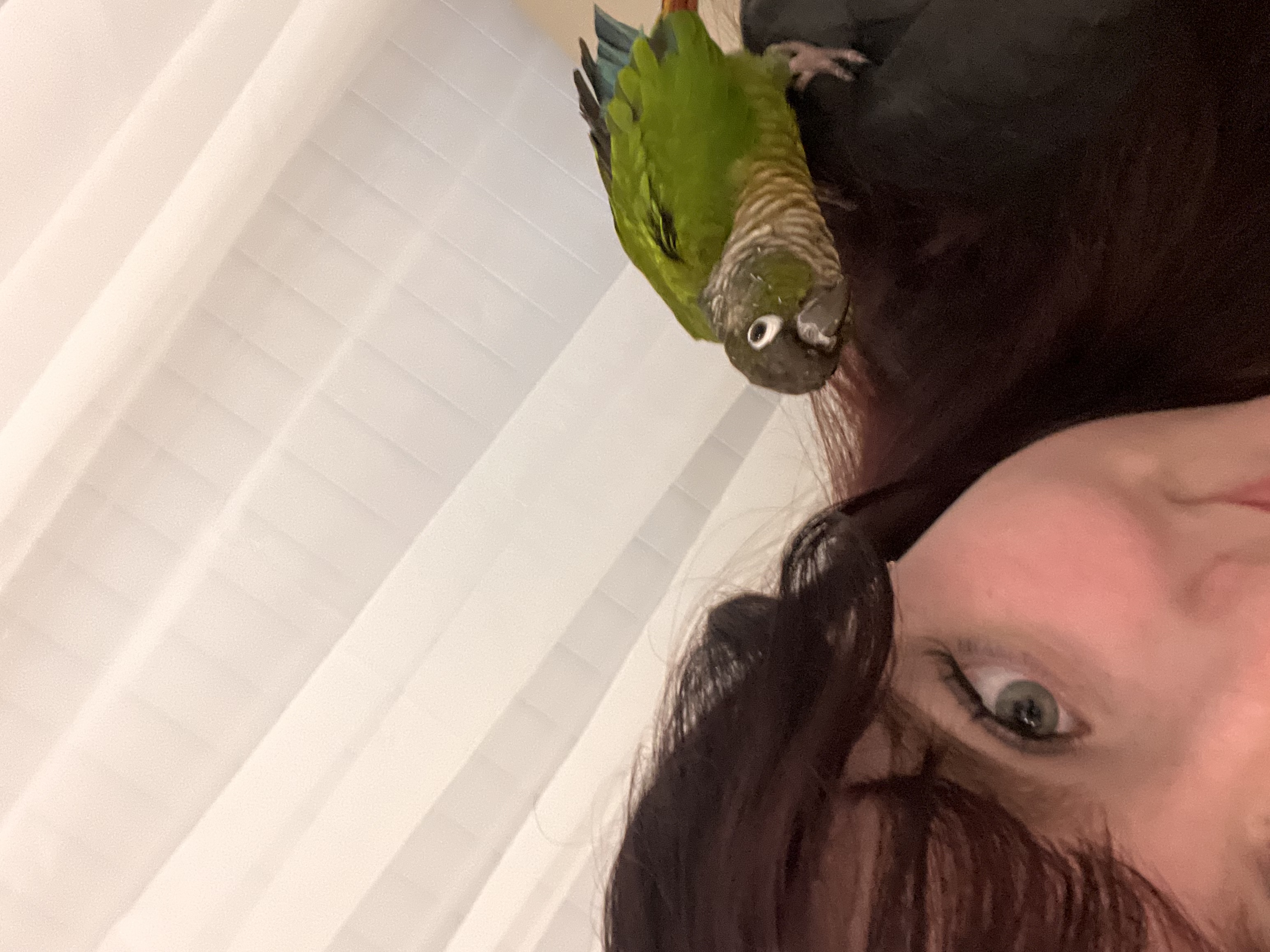image-12