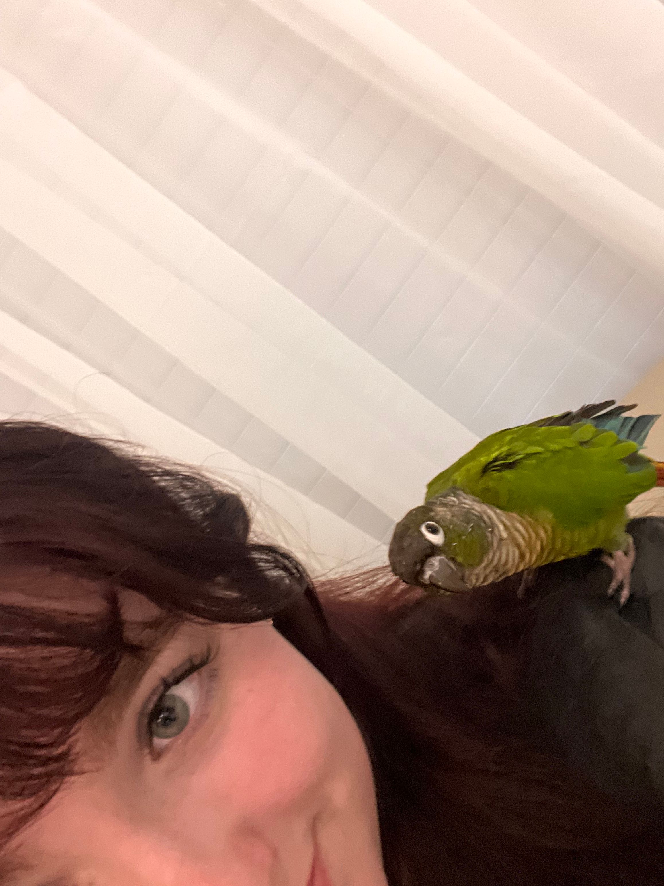 image-12