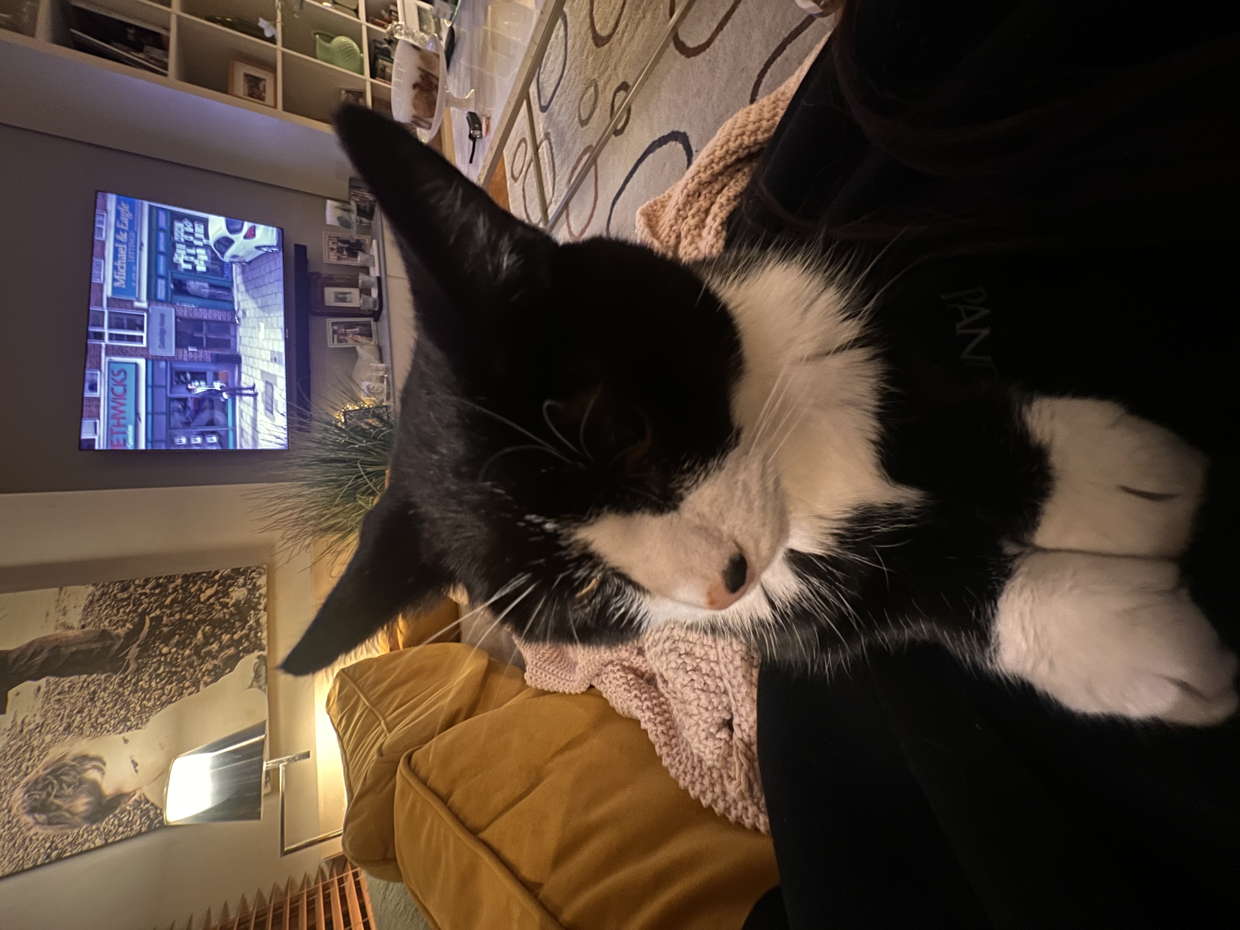 image-10