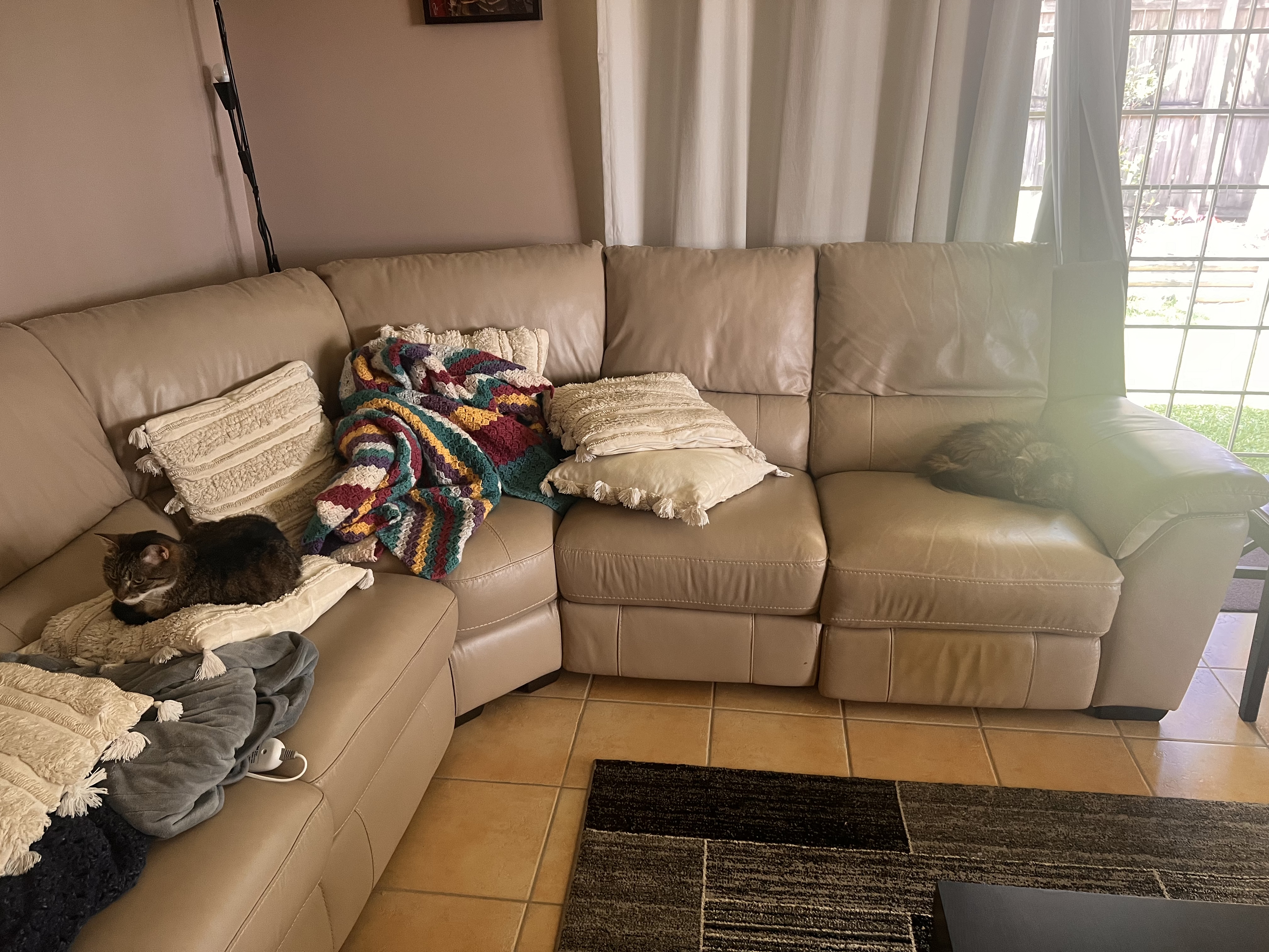 image-20