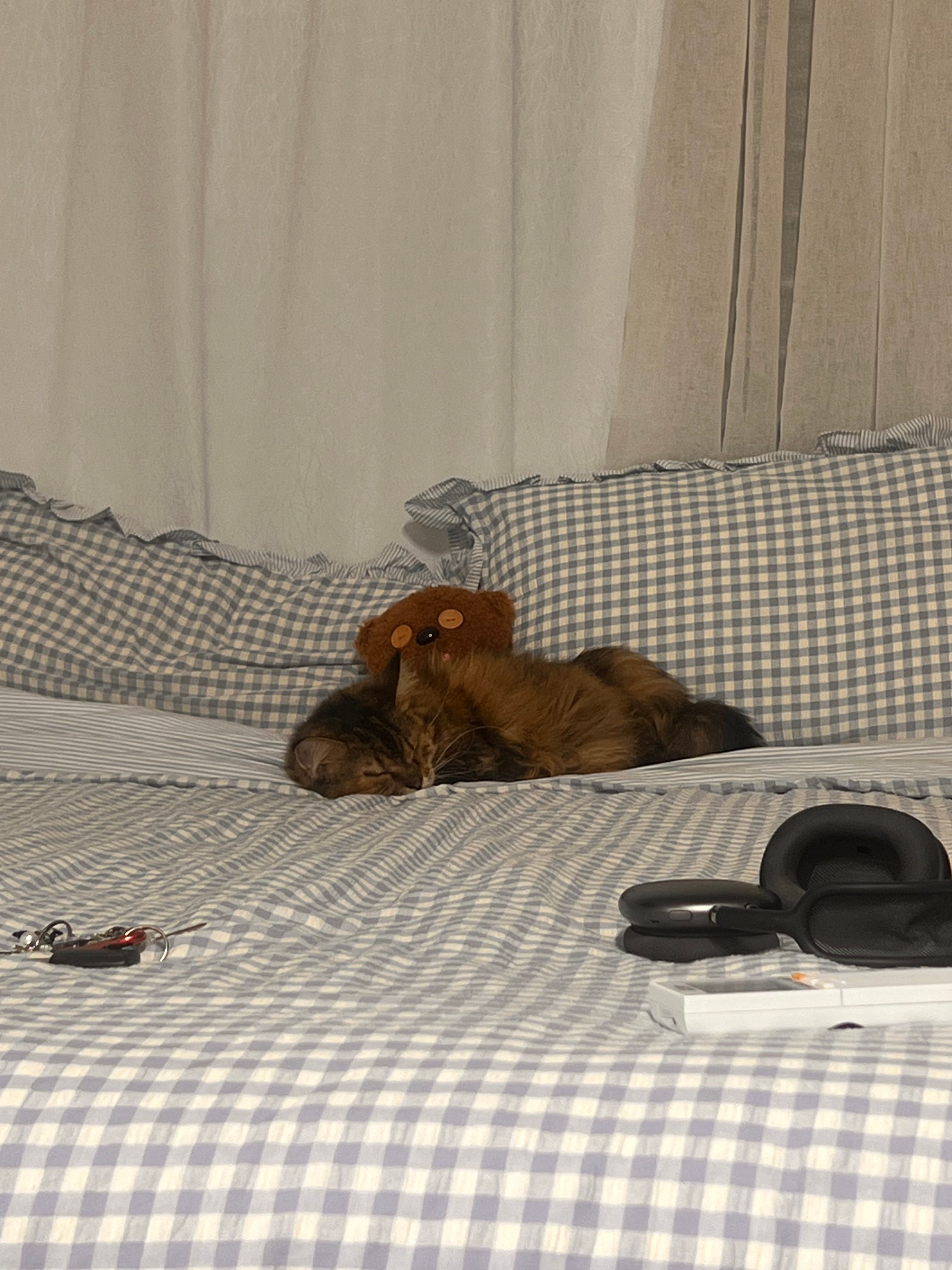 image-8
