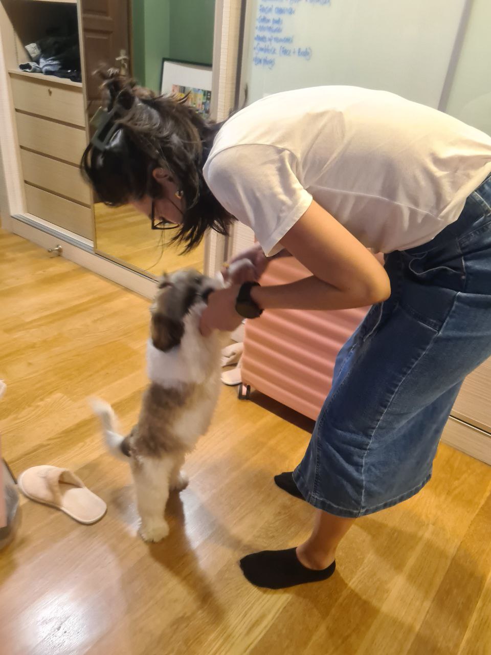 image-6